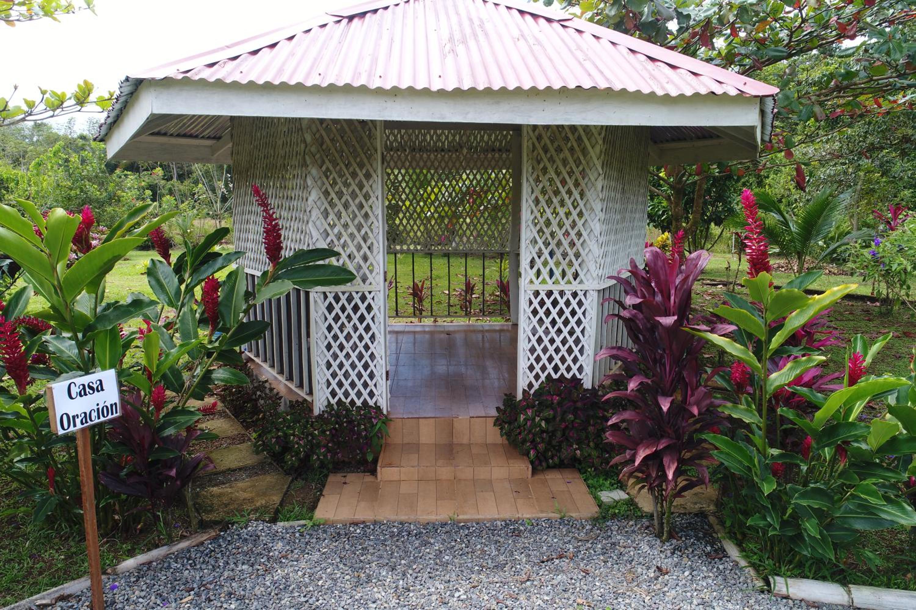 HOPE GARDEN, SARAPIQUÍ, We connect you with the Sarapiquí tropical forest