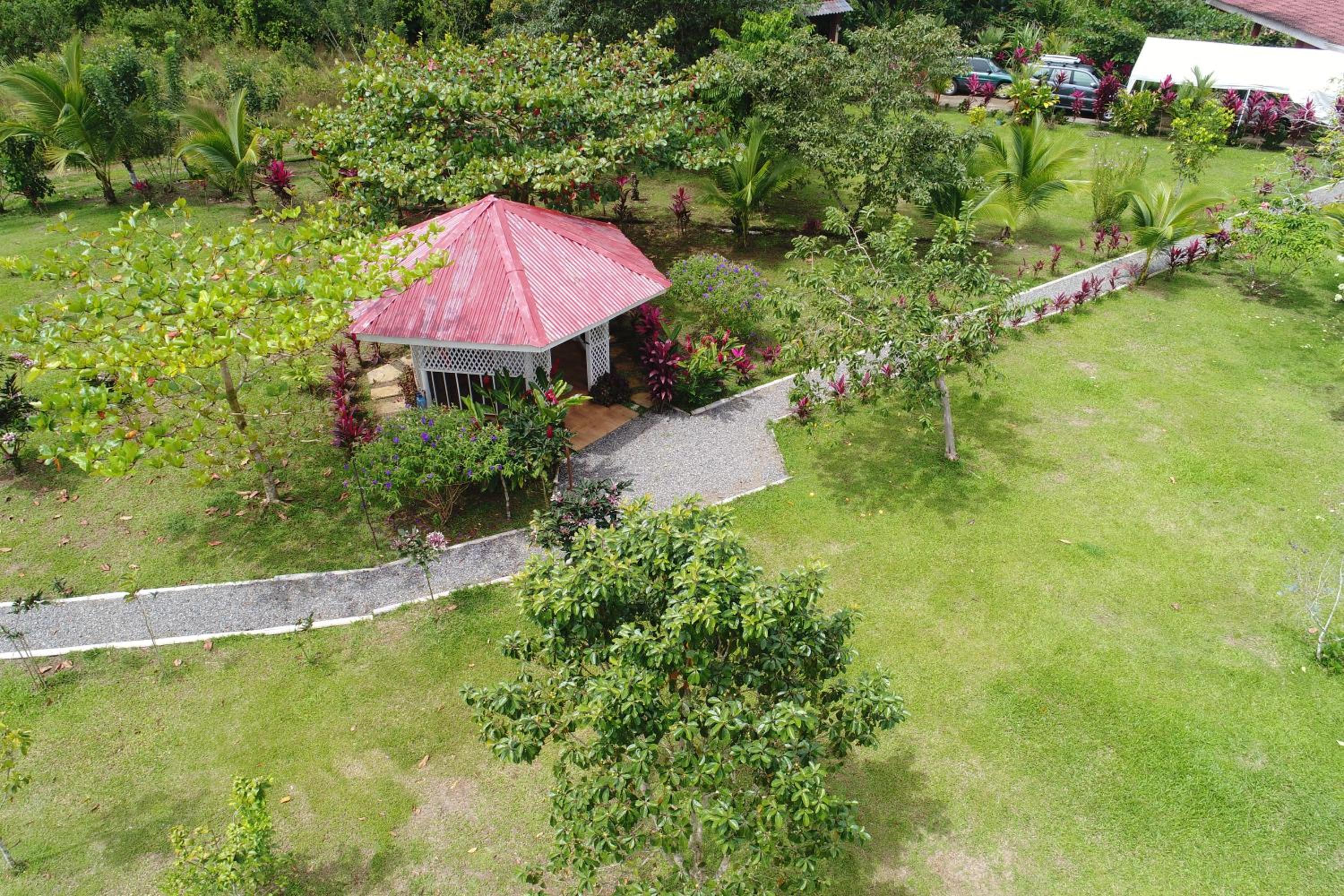 HOPE GARDEN, SARAPIQUÍ, We connect you with the Sarapiquí tropical forest