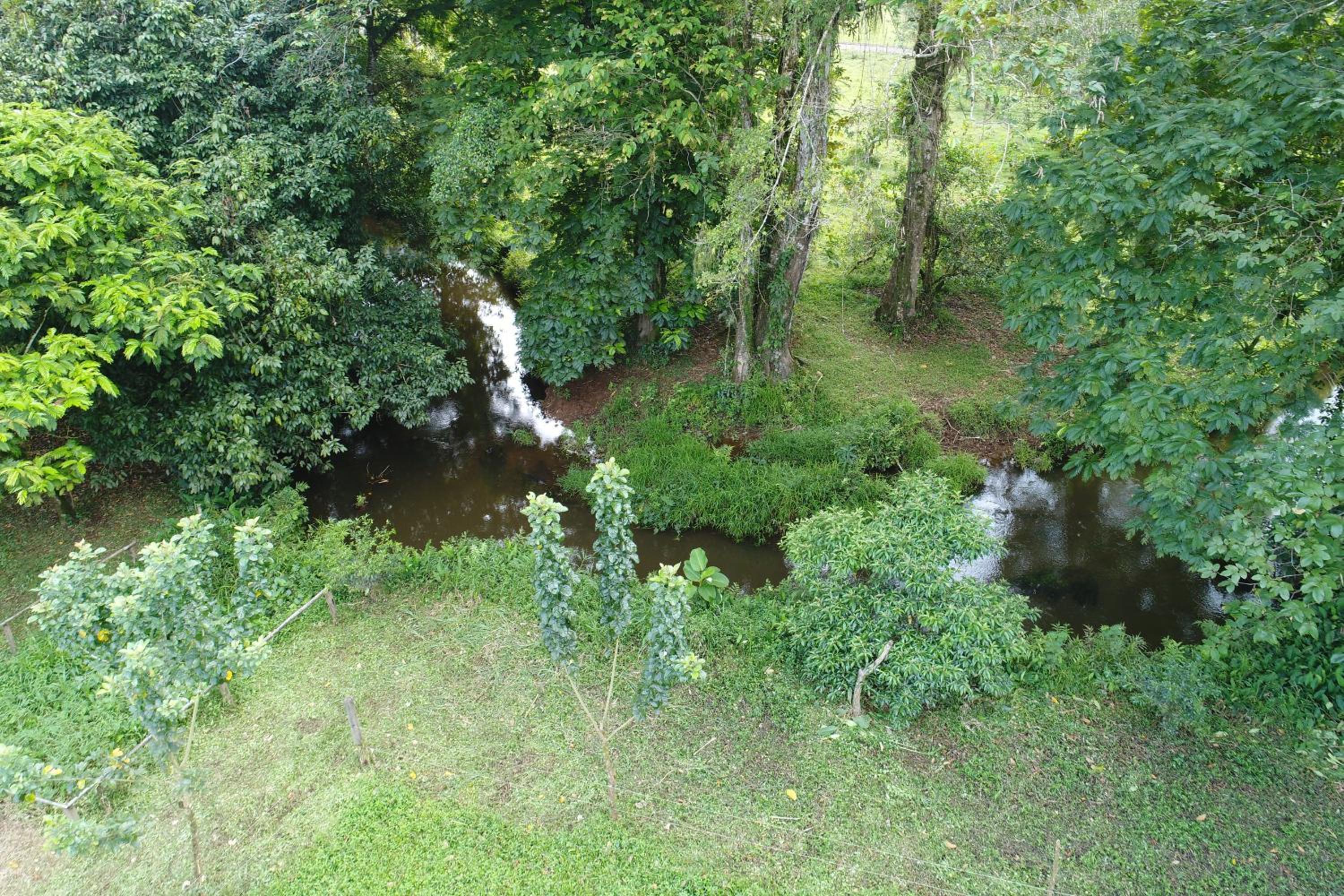 HOPE GARDEN, SARAPIQUÍ, We connect you with the Sarapiquí tropical forest