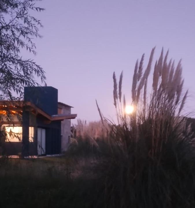 Las Cortaderas