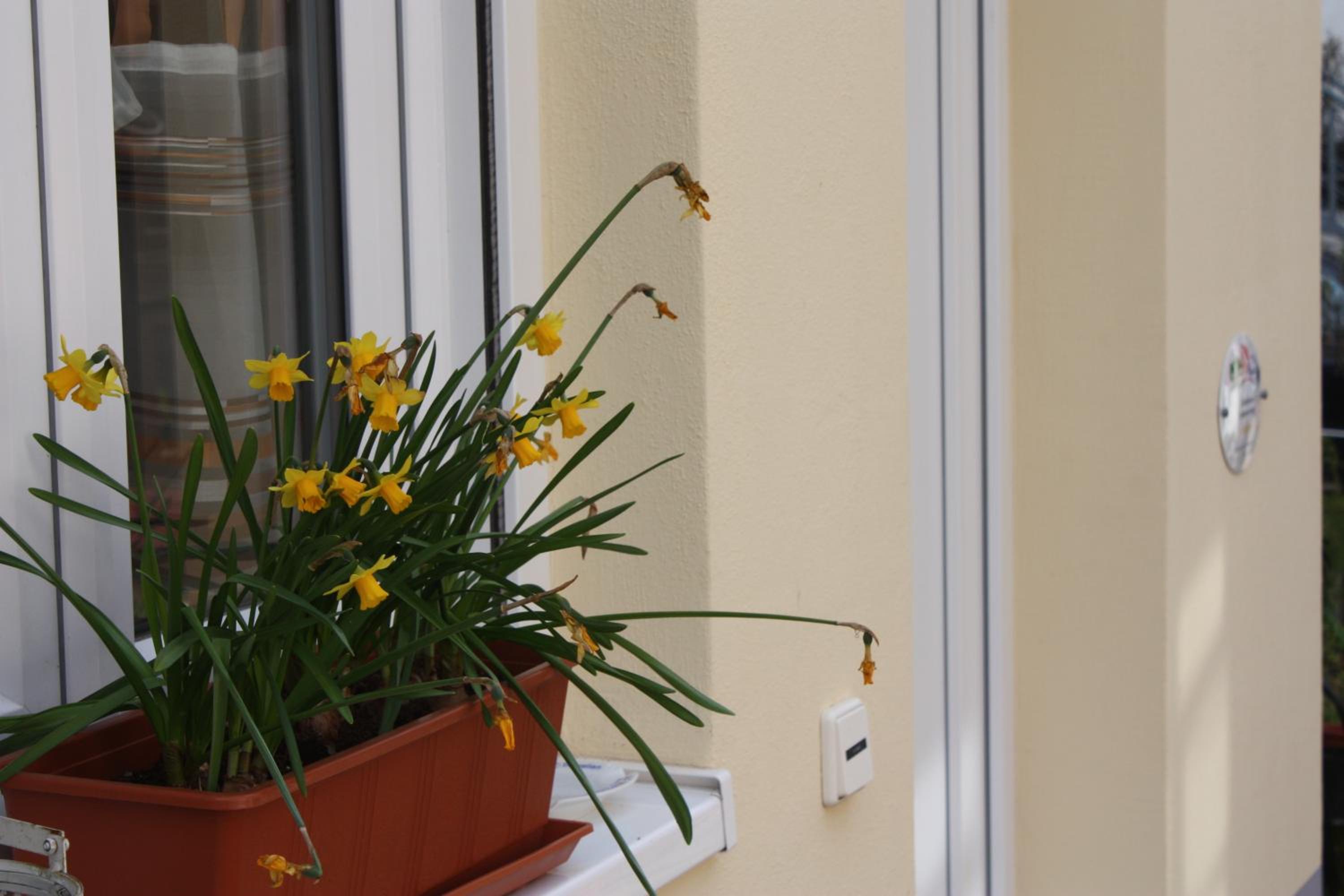 Ferienwohnung Familie Westermann