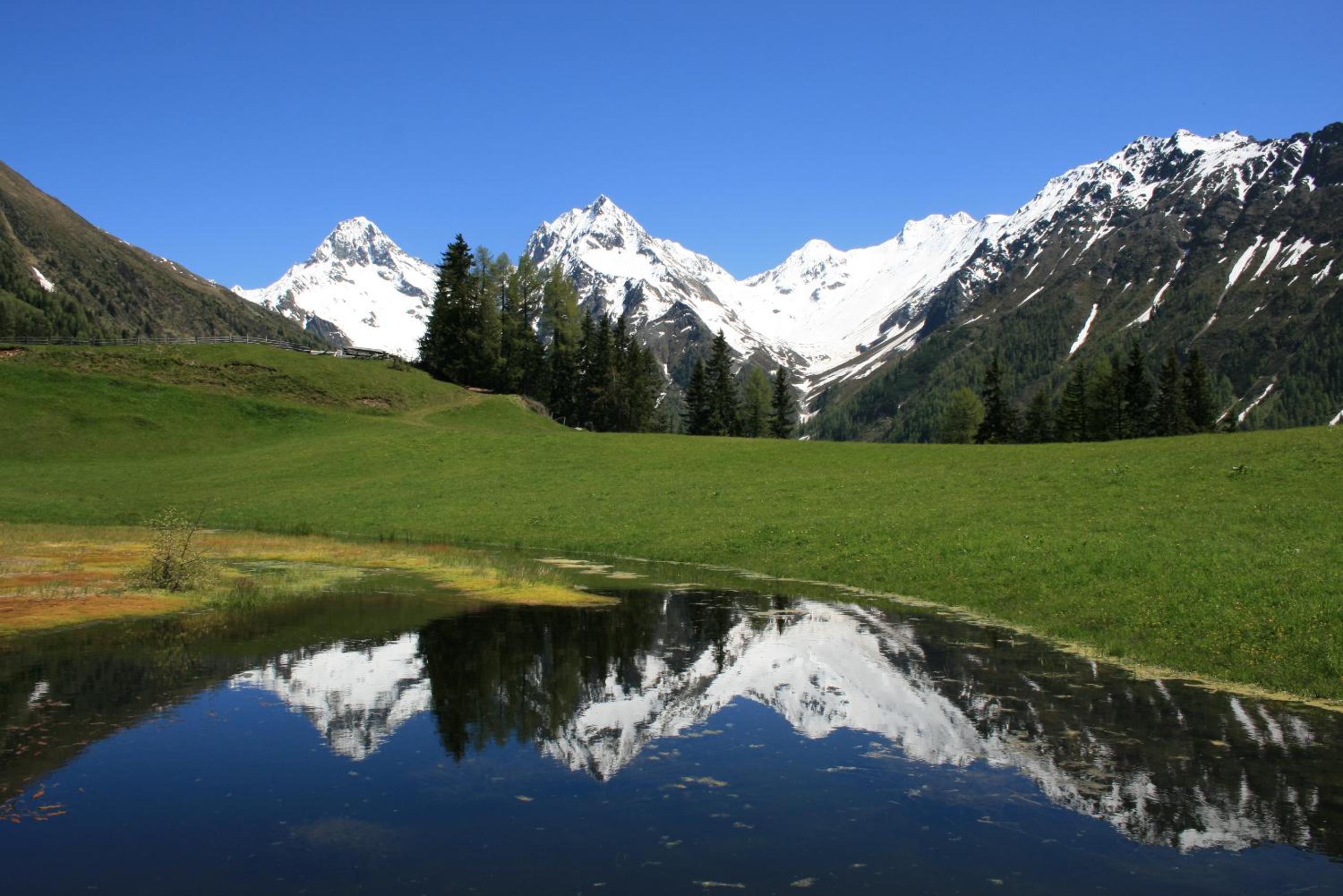 Appartements mit Glocknerblick
