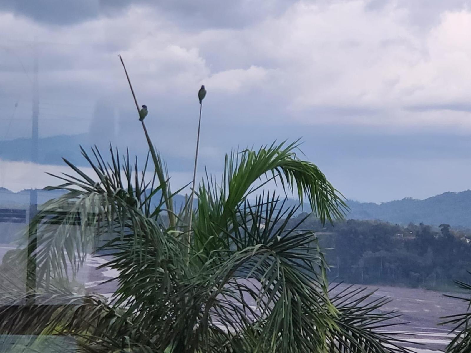 Beautiful view suite Suite vista hermosa