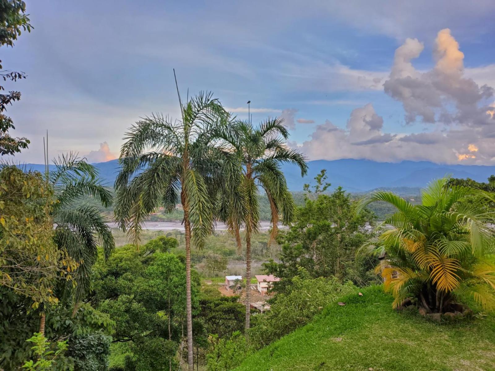 Beautiful view suite Suite vista hermosa