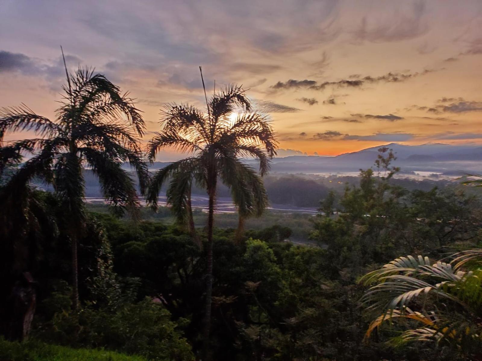 Beautiful view suite Suite vista hermosa