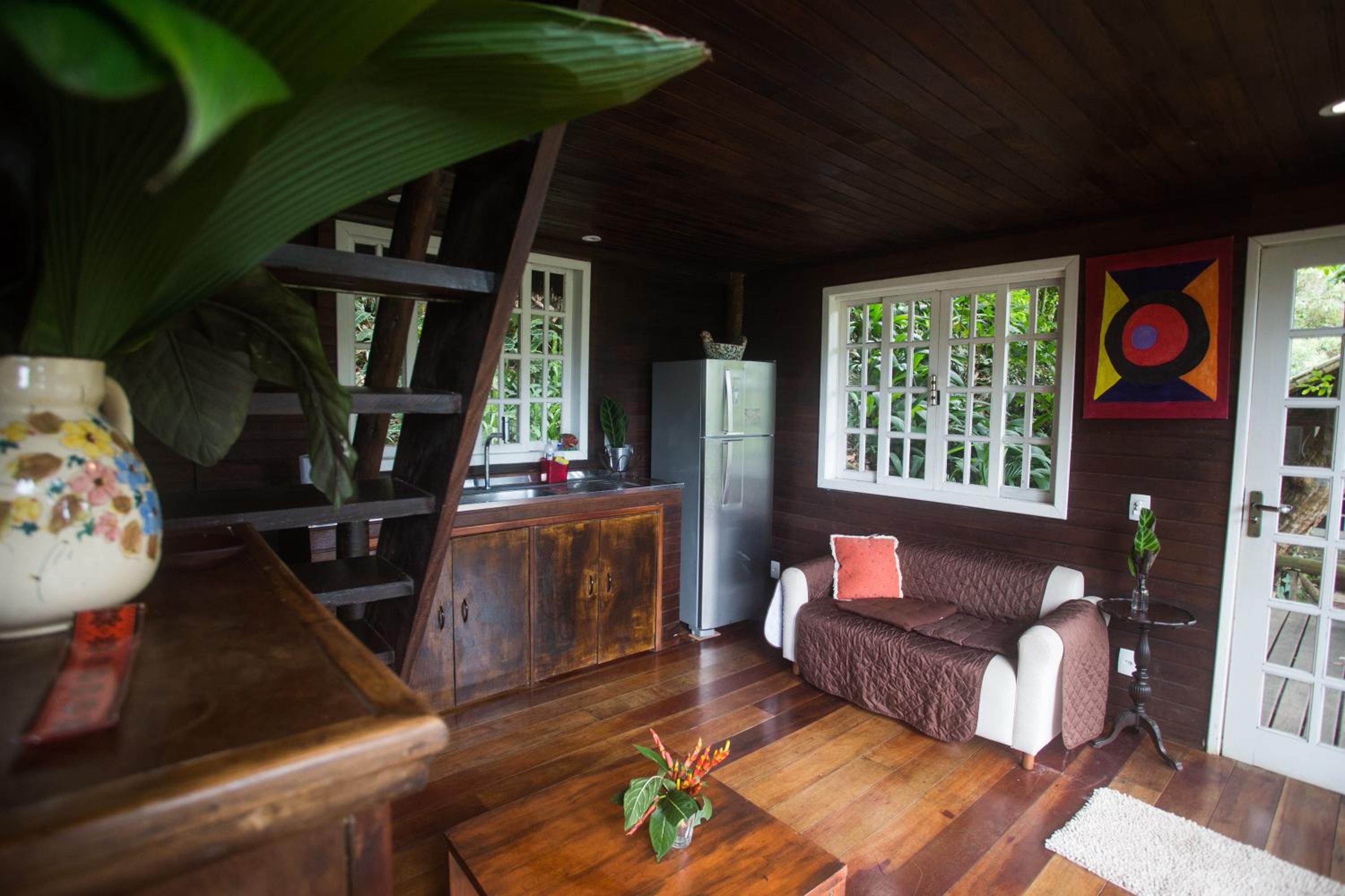 Rain Forest Paradise