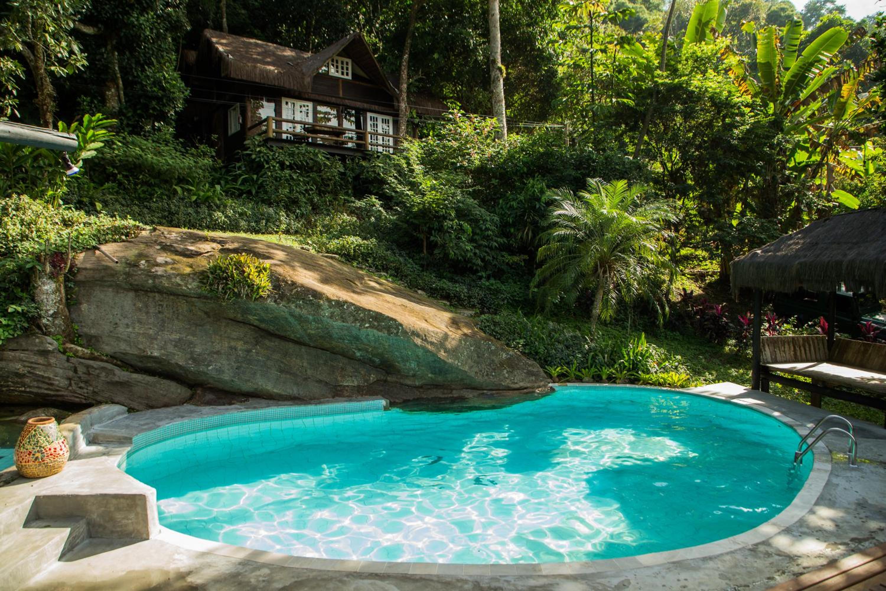 Rain Forest Paradise