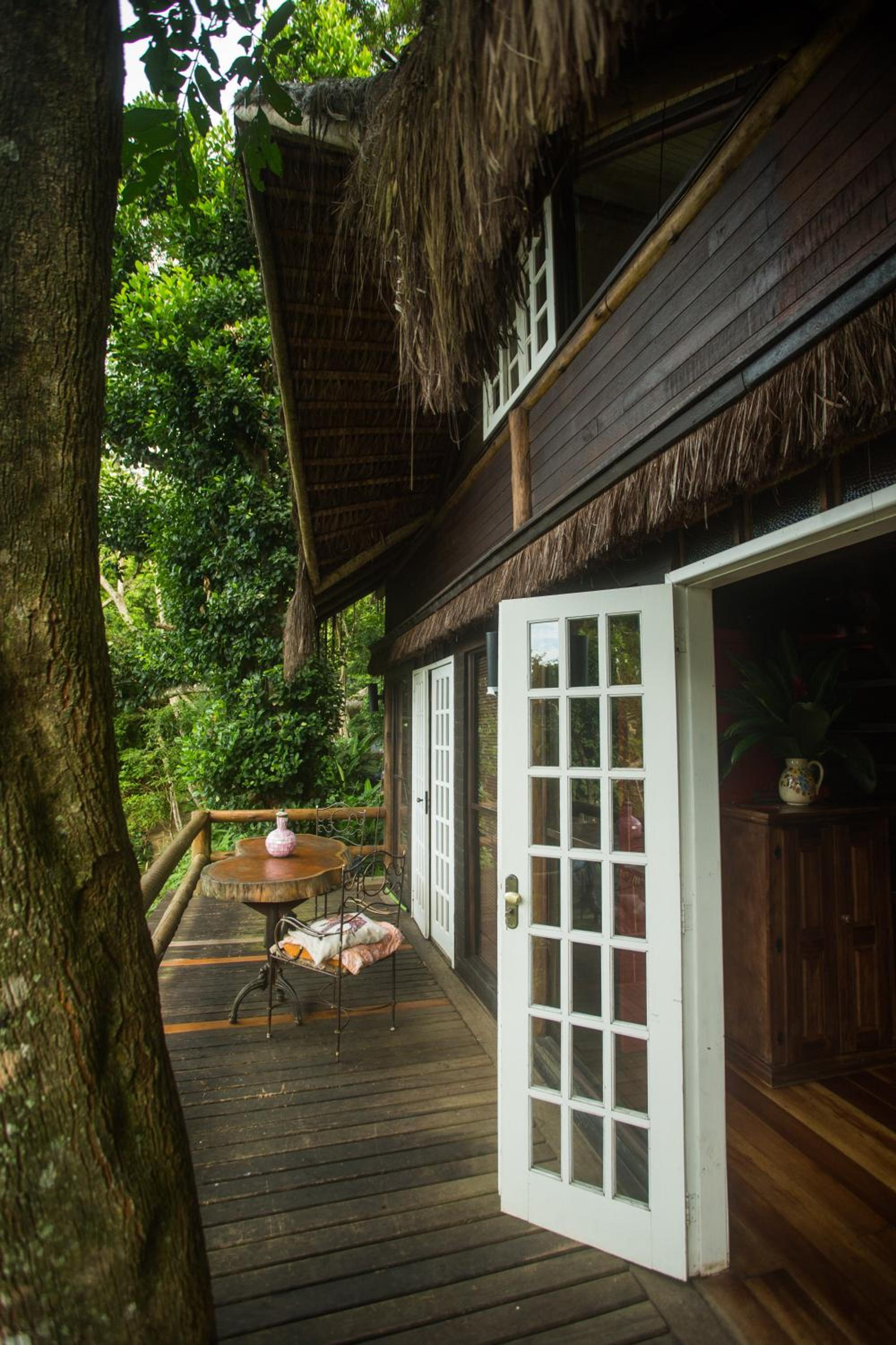 Rain Forest Paradise