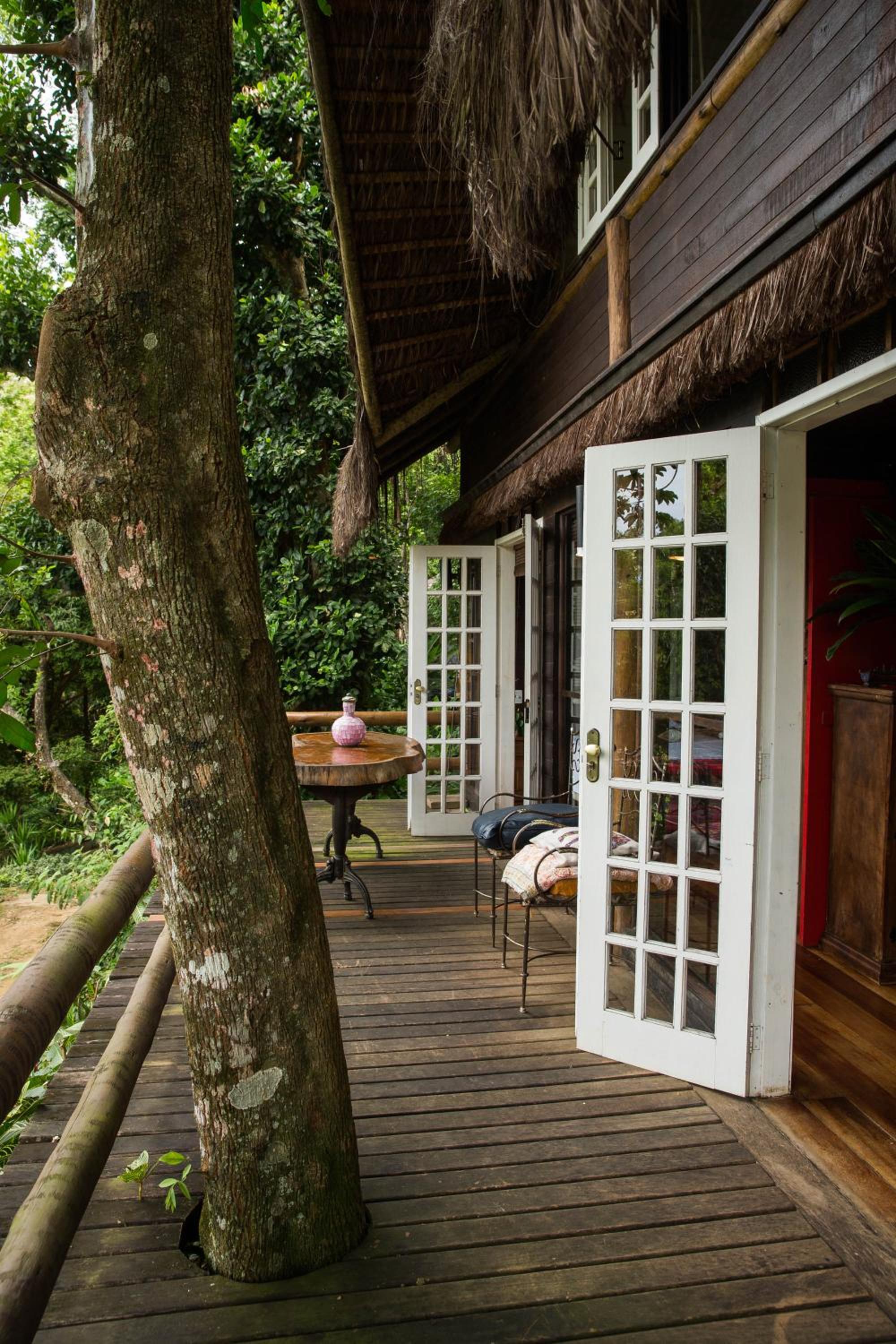 Rain Forest Paradise