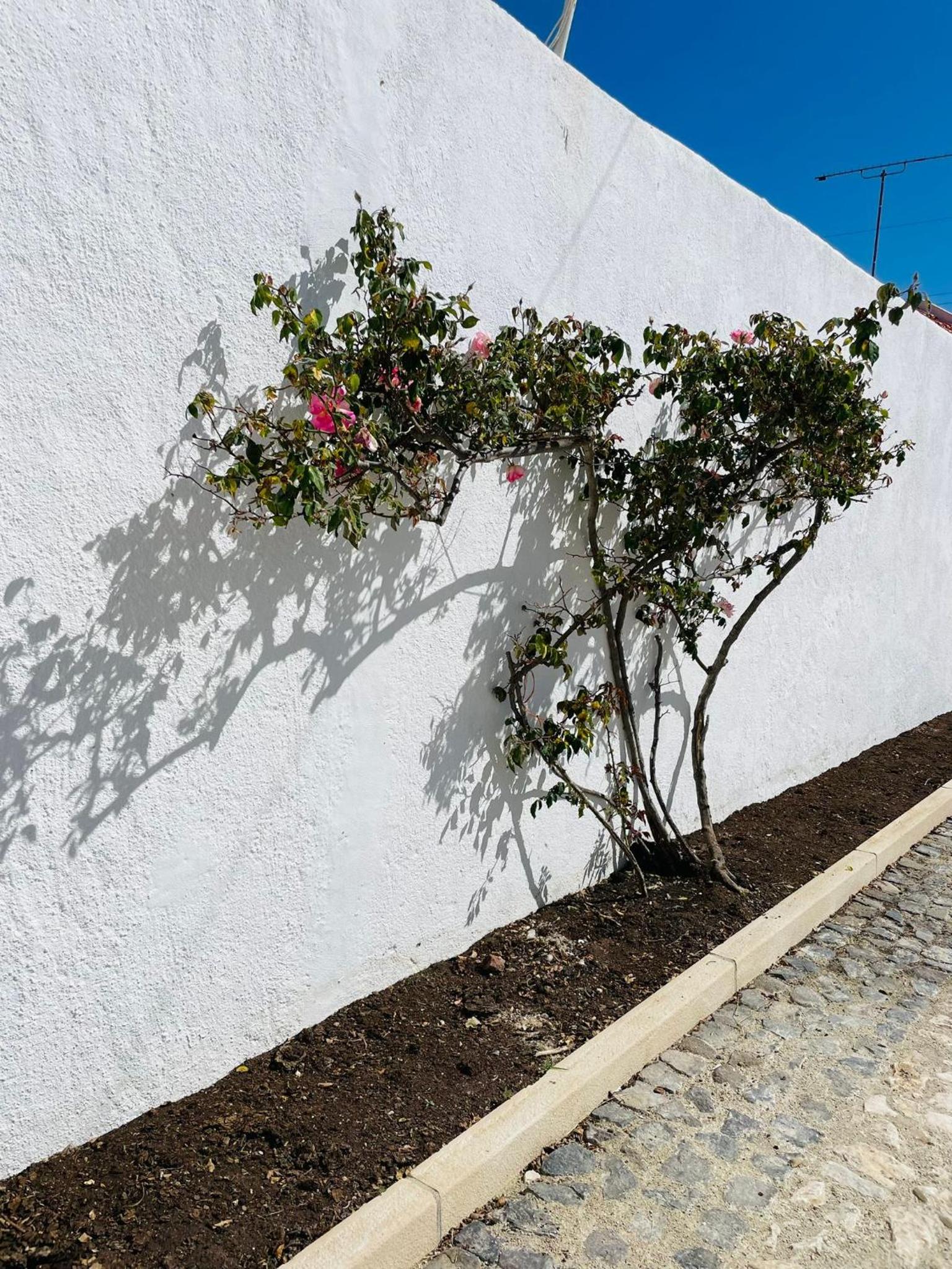 Paço Marmòris Field view 3