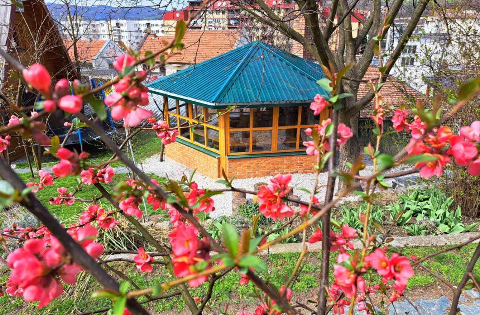 Bosnian Villa & Chalet