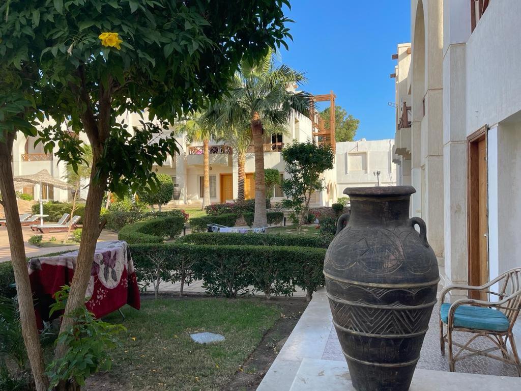 Sharm Hills Resort