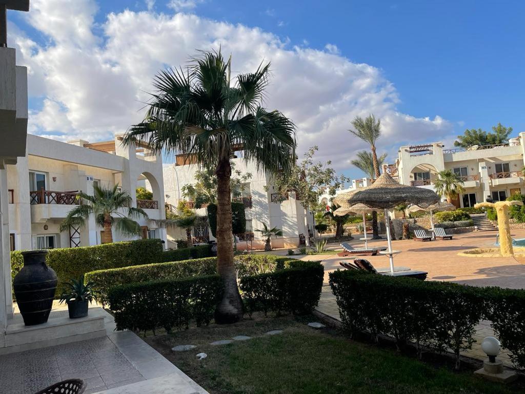 Sharm Hills Resort