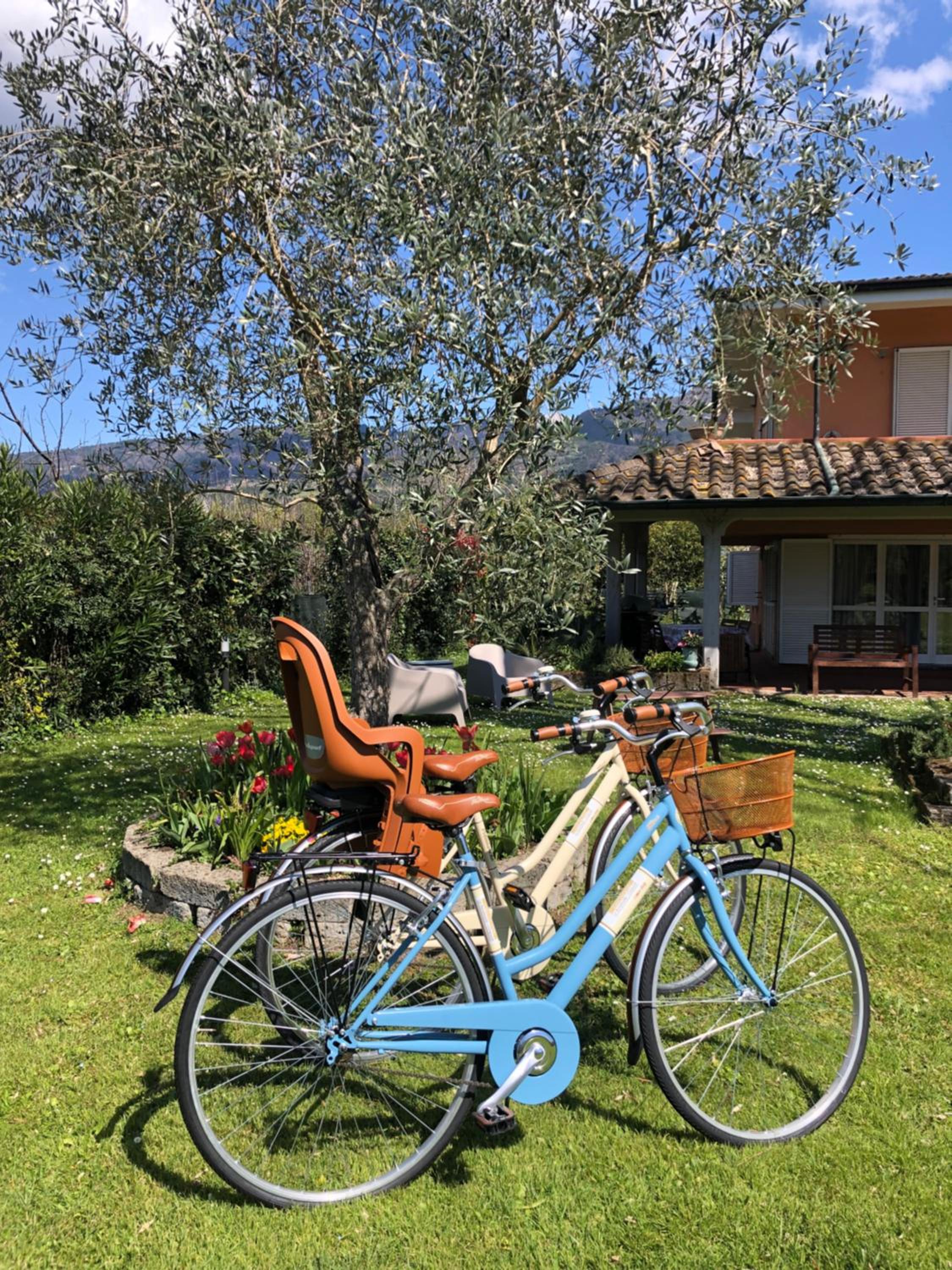 Casa "Le Rondinelle", photo 30