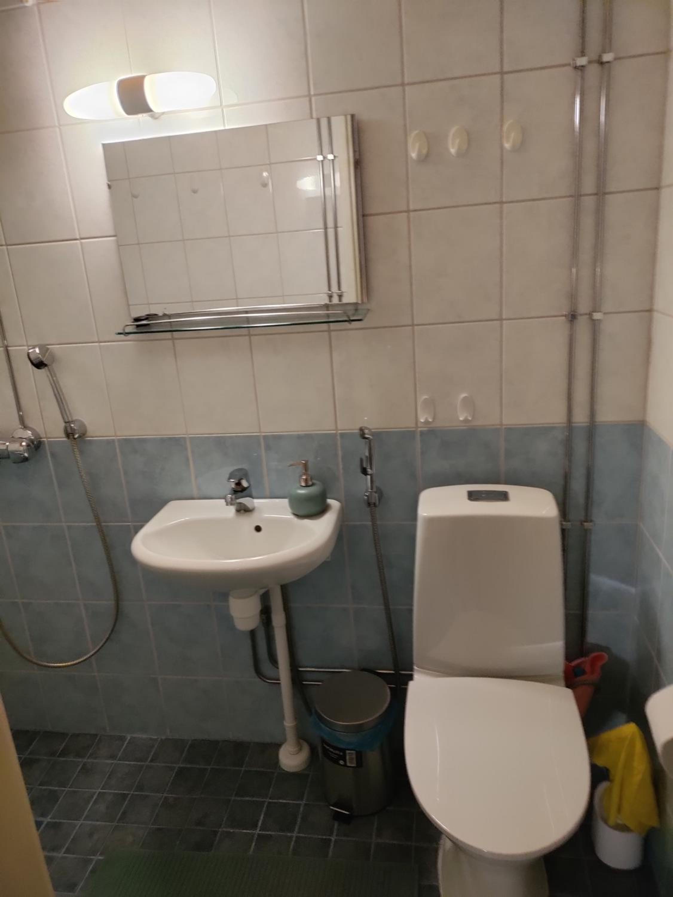 Toimiva kodikas yksiö