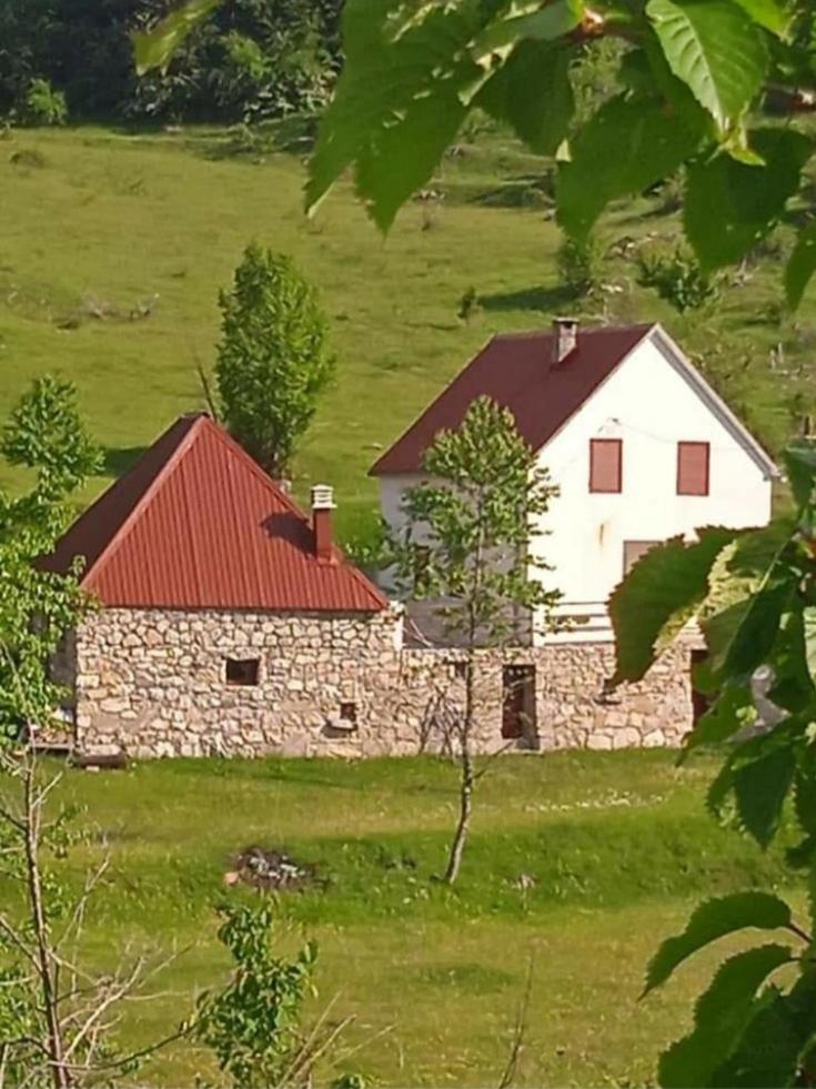 Photo 20
