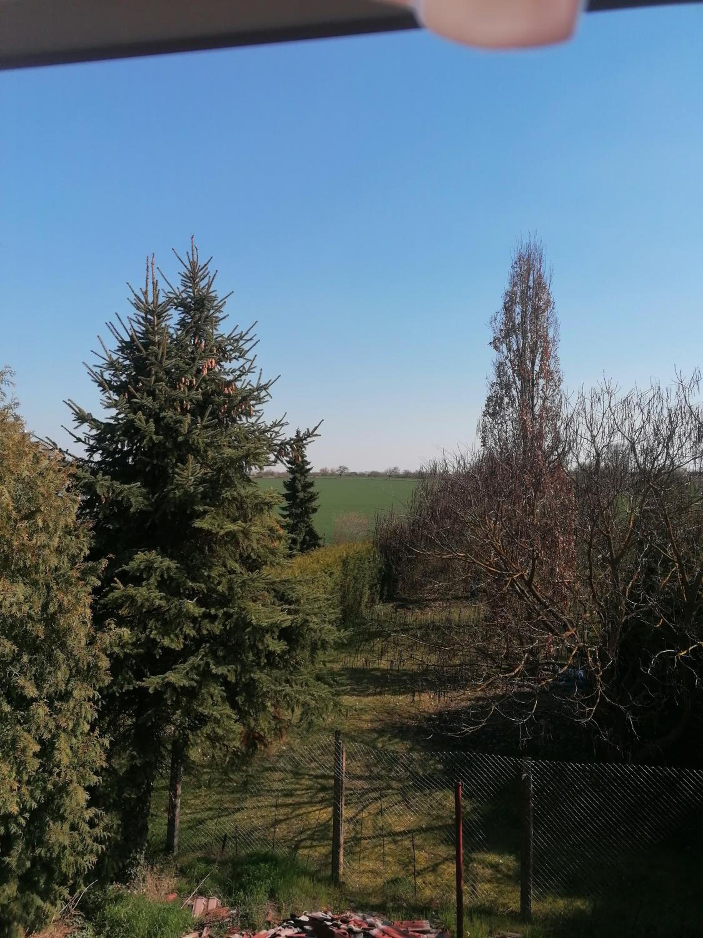 Ferienwohnung IV Sarrebriese