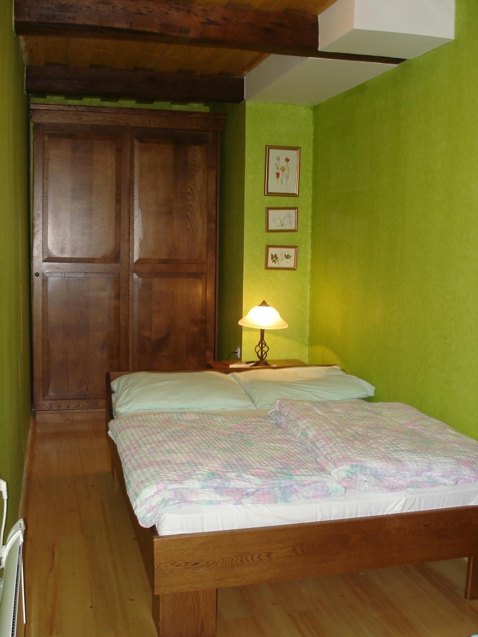 Apartmaji Žolnir view 3