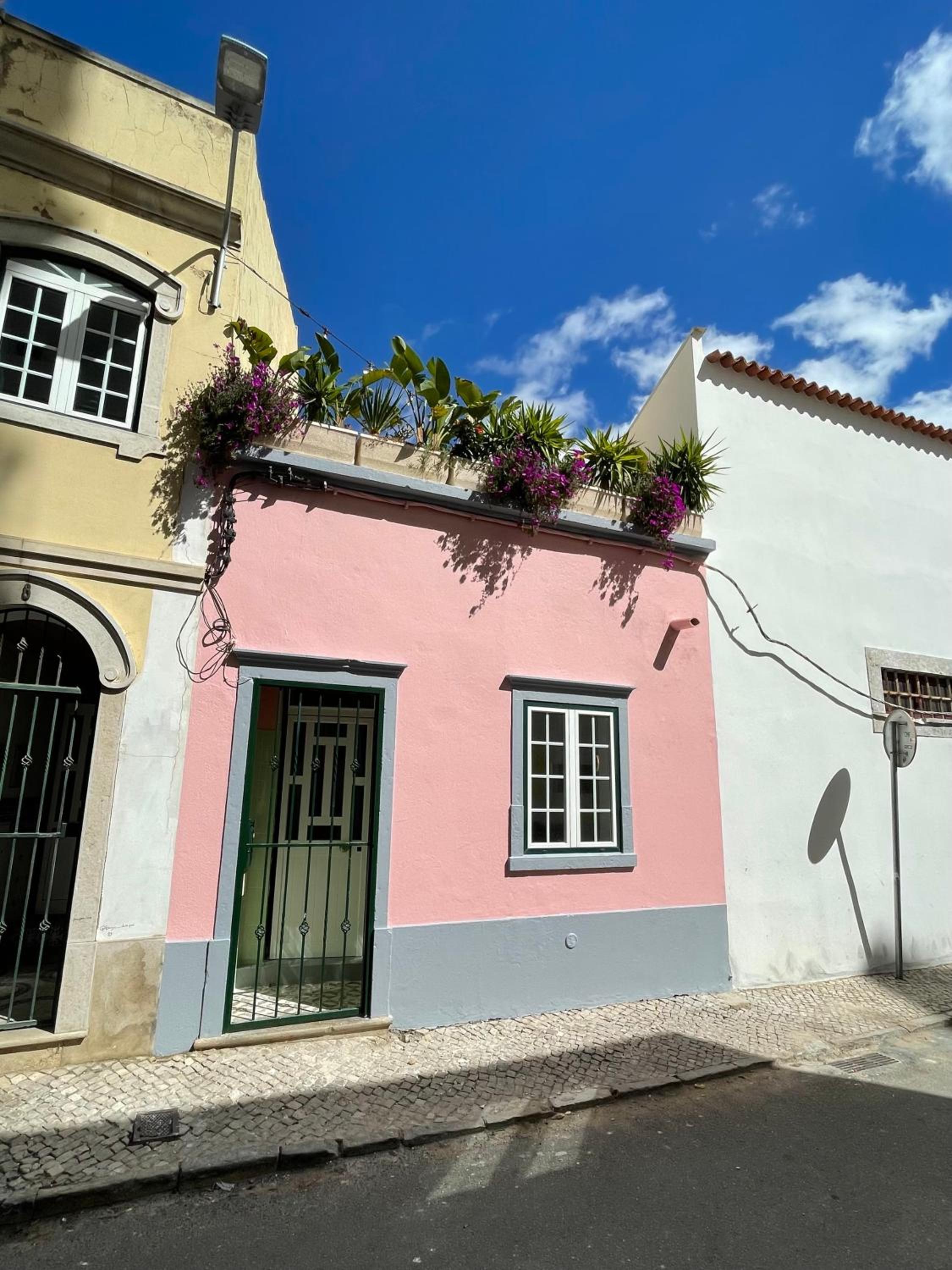 Casa da Selva
