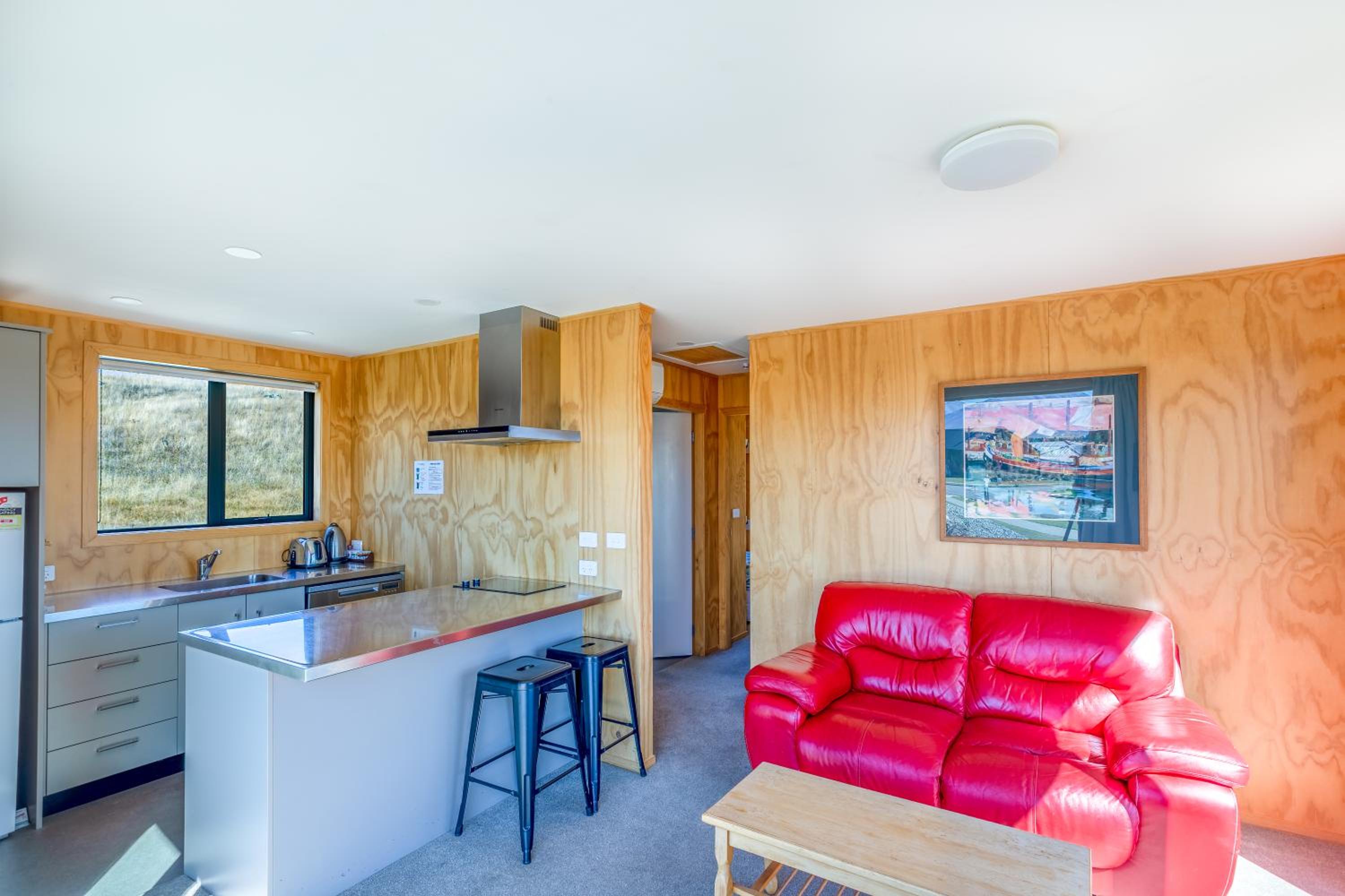 The Red Nest - Lake Tekapo view 4