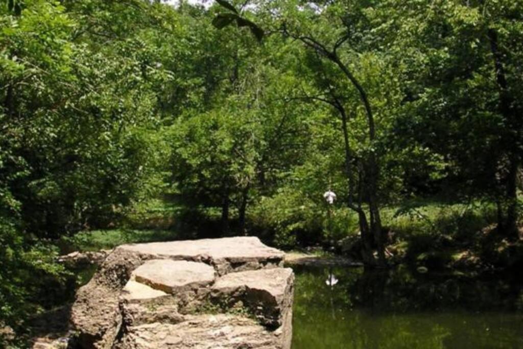Photo 48
