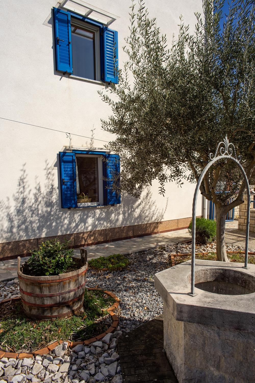 Olive Tree Apartments