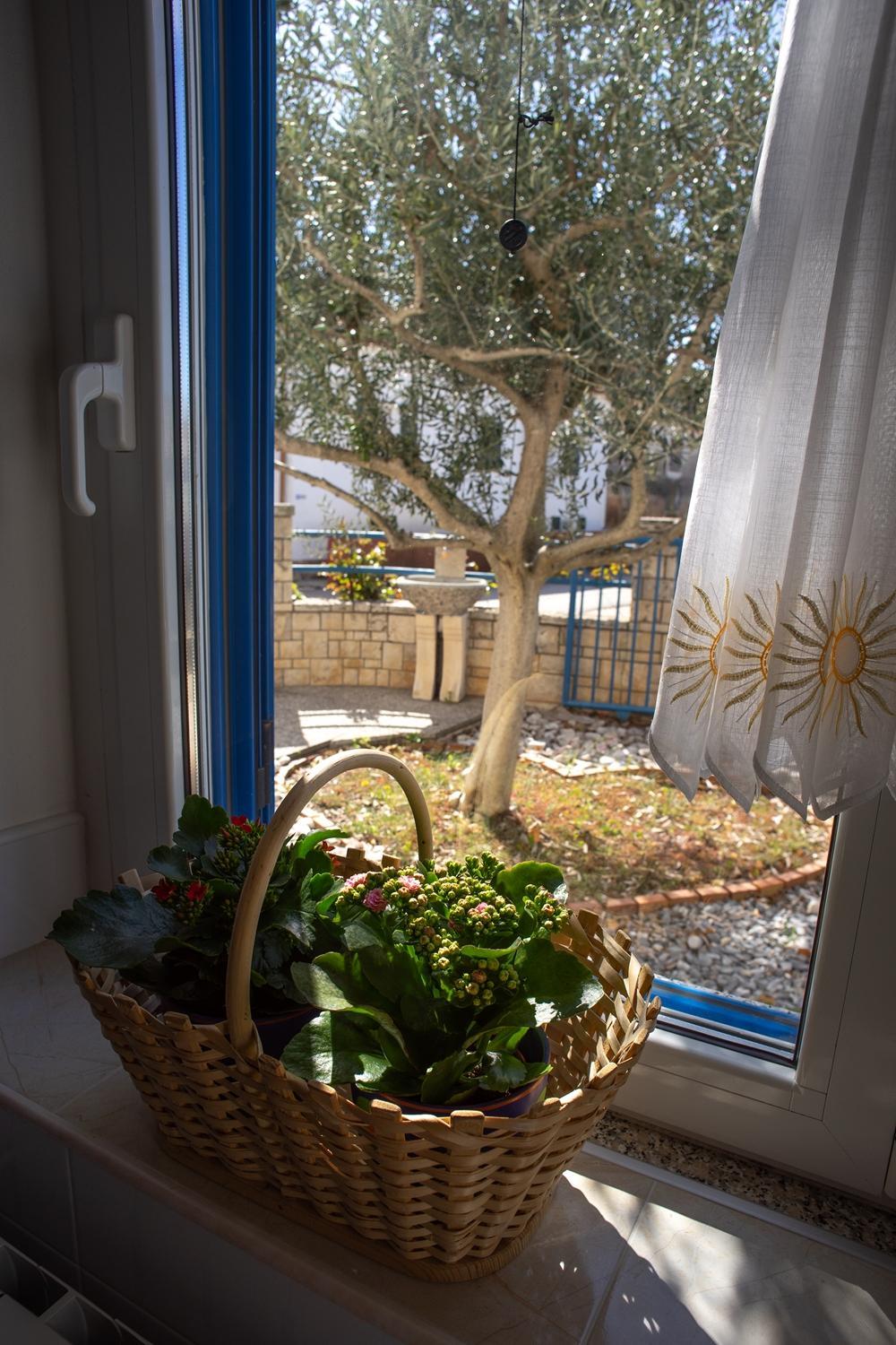 Olive Tree Apartments