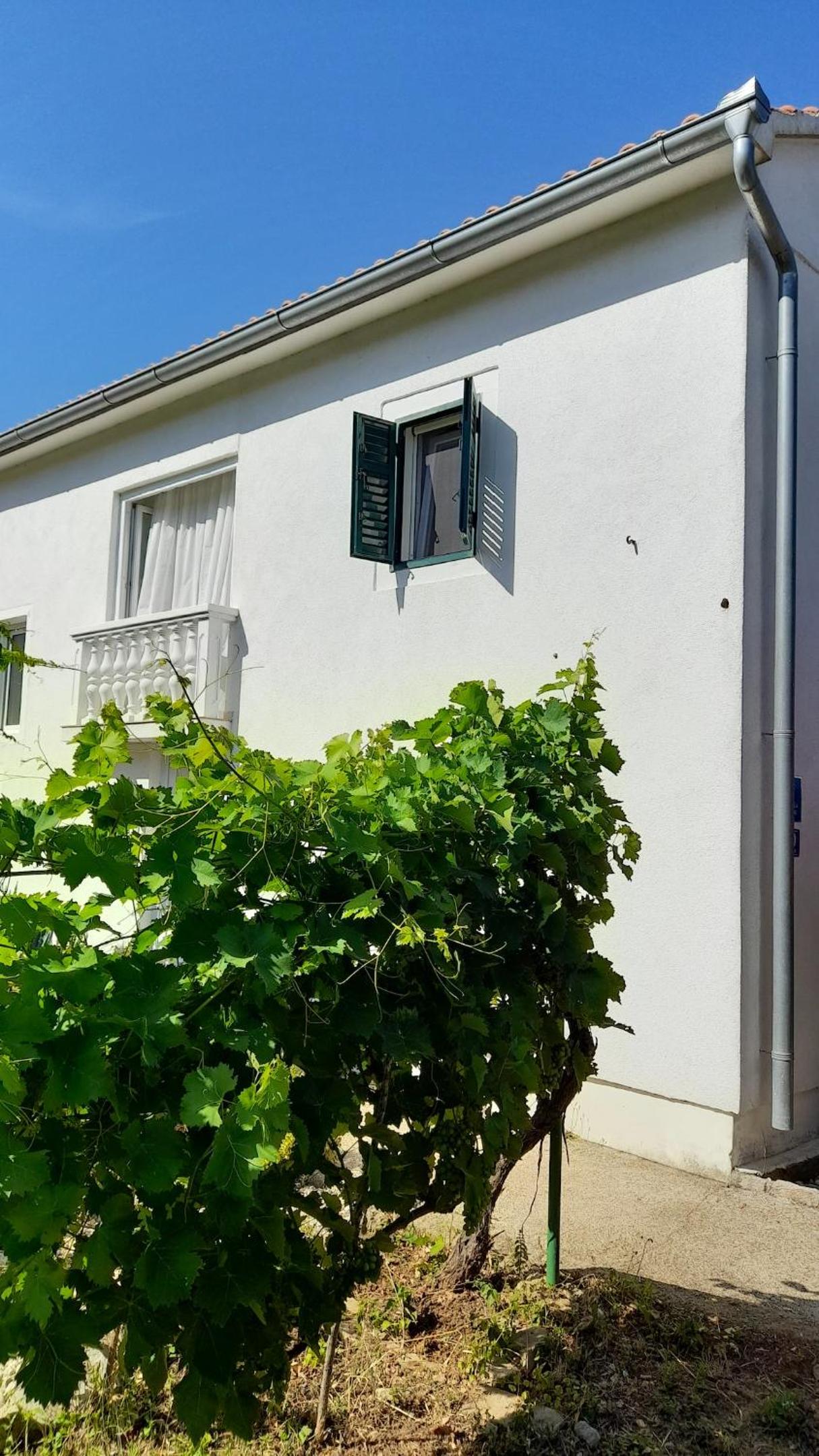 Spacious house in Lukoran with sea view