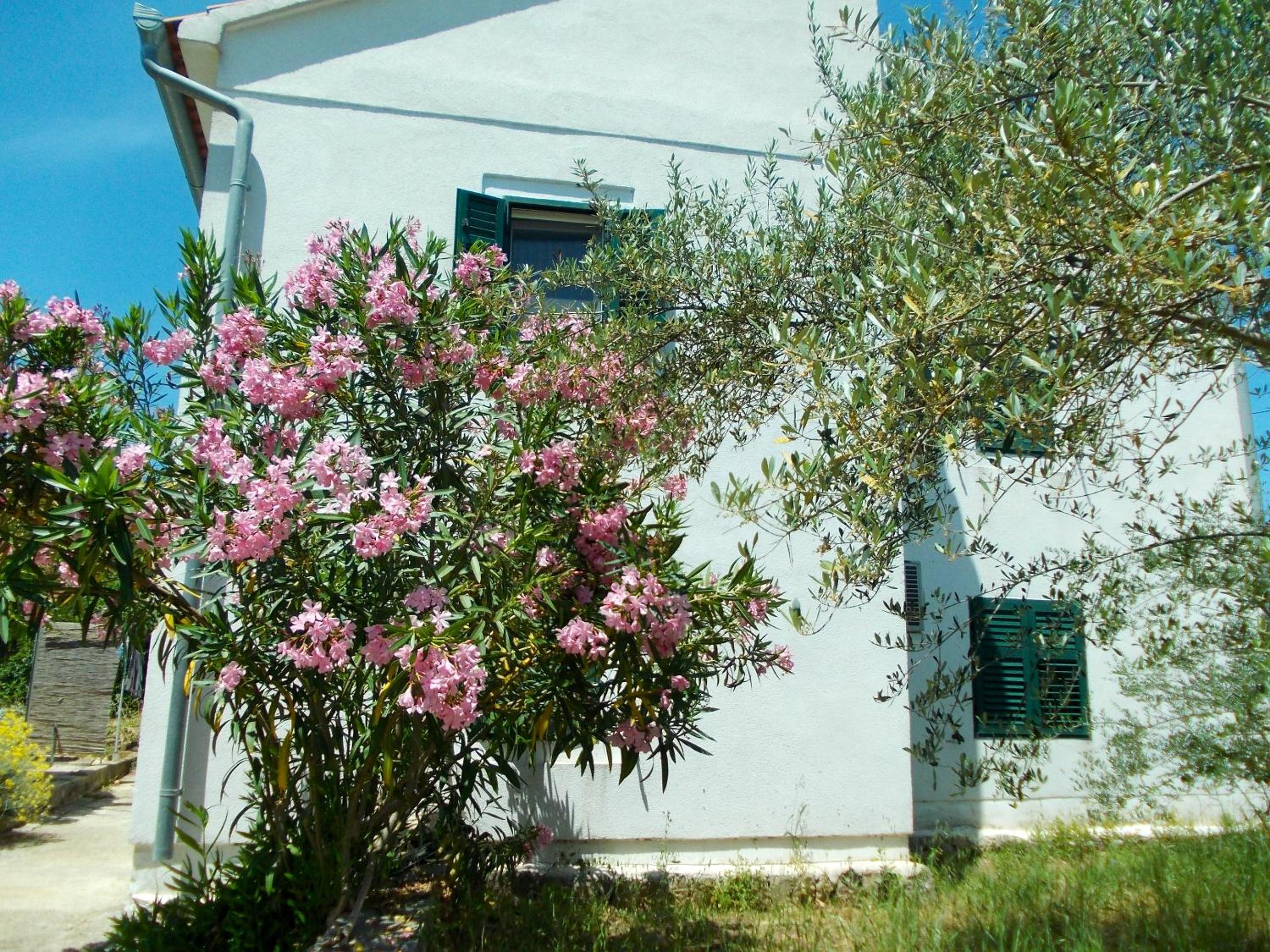 Spacious house in Lukoran with sea view