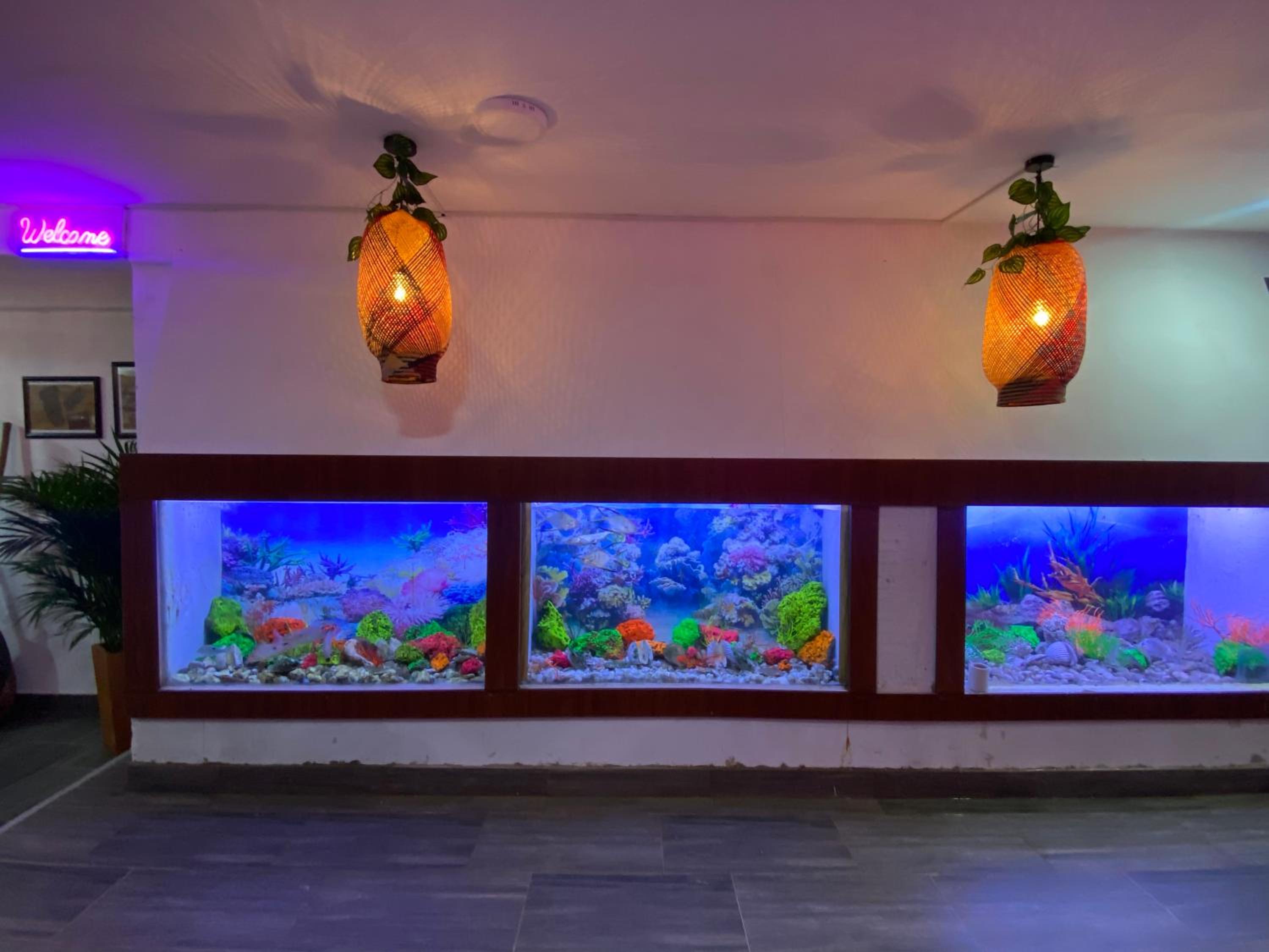 Acuarios Hostal