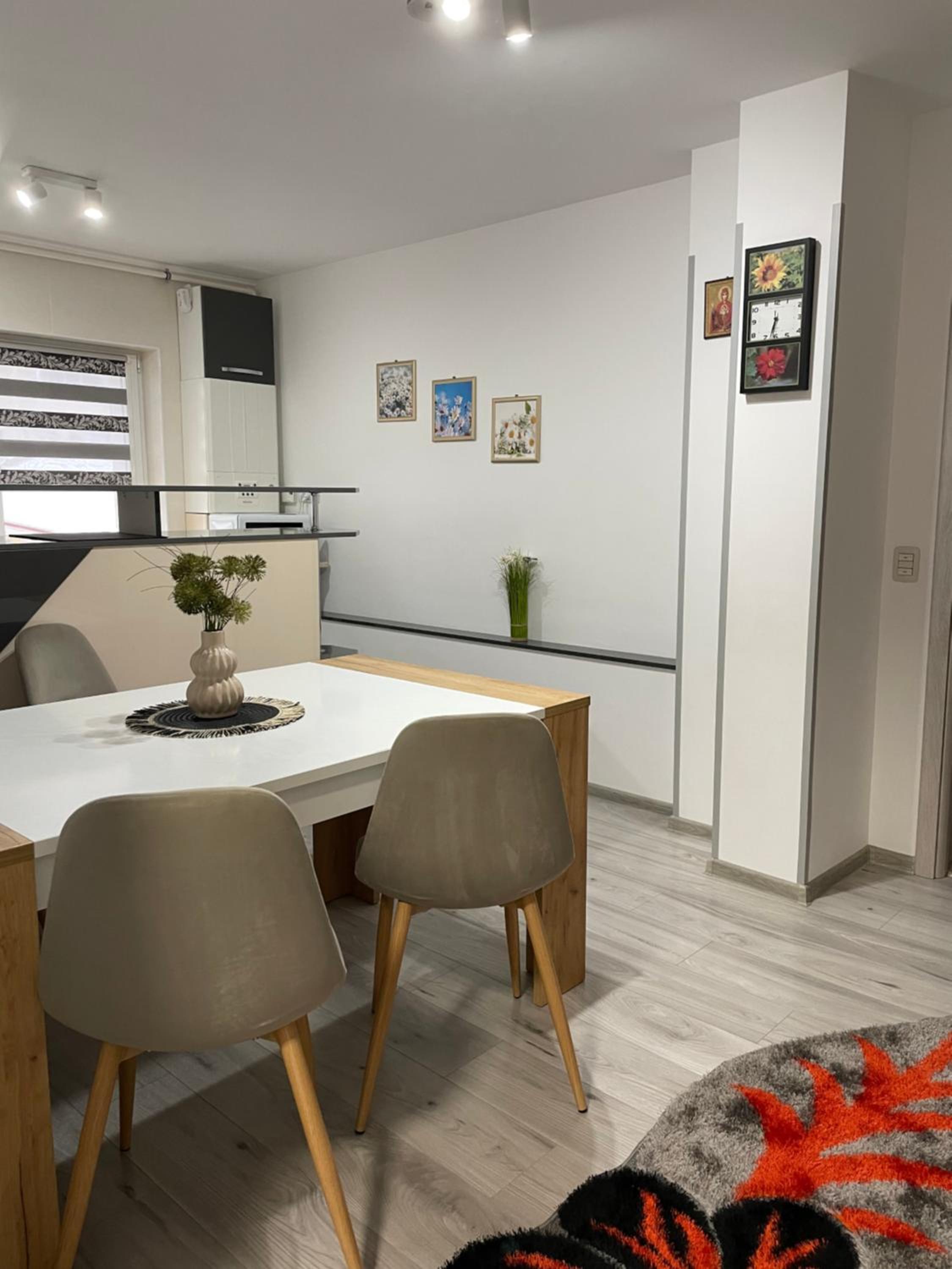 Apartament Daniel view 2