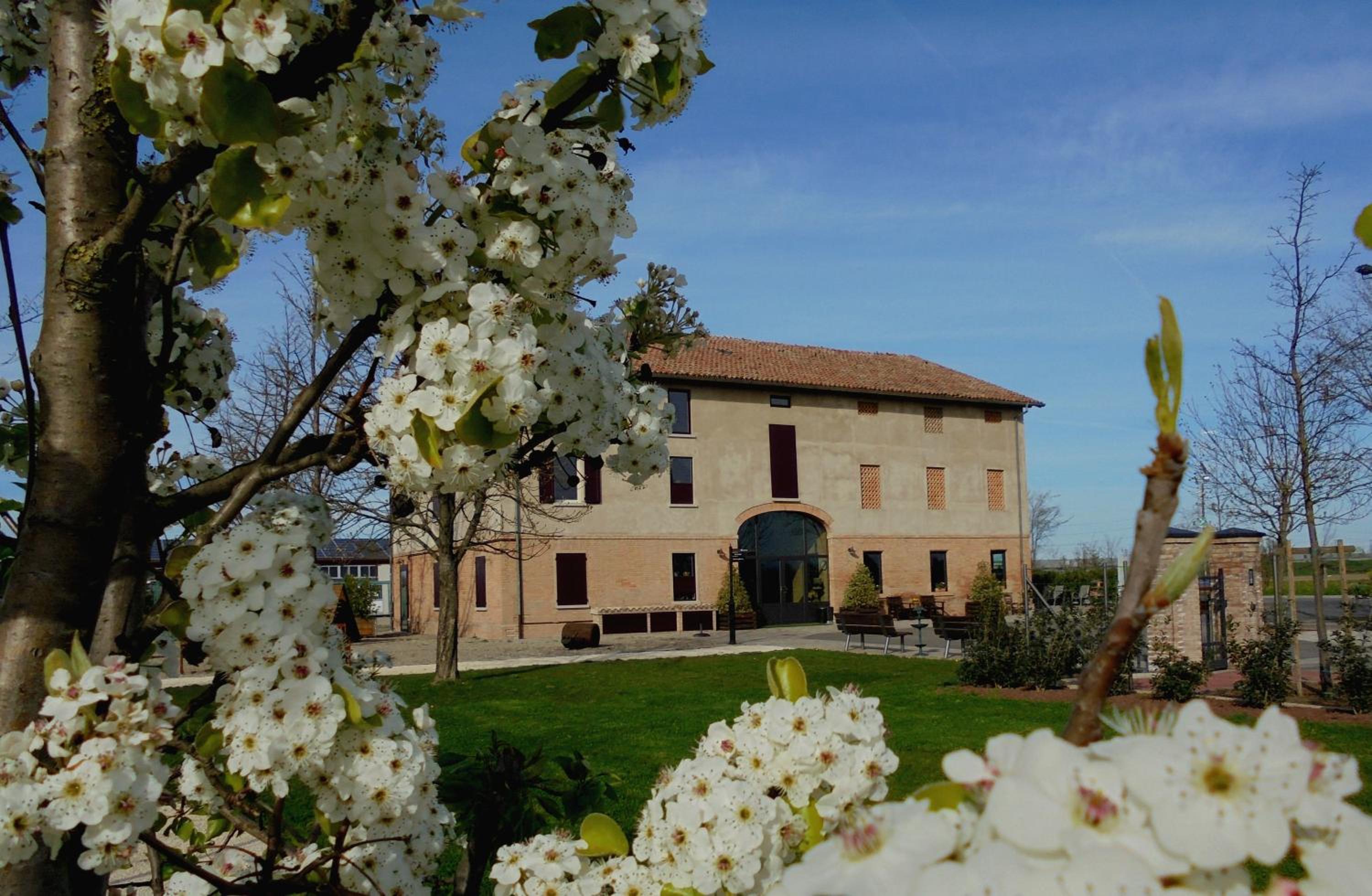 La Casa di Campagna - Property Image 102