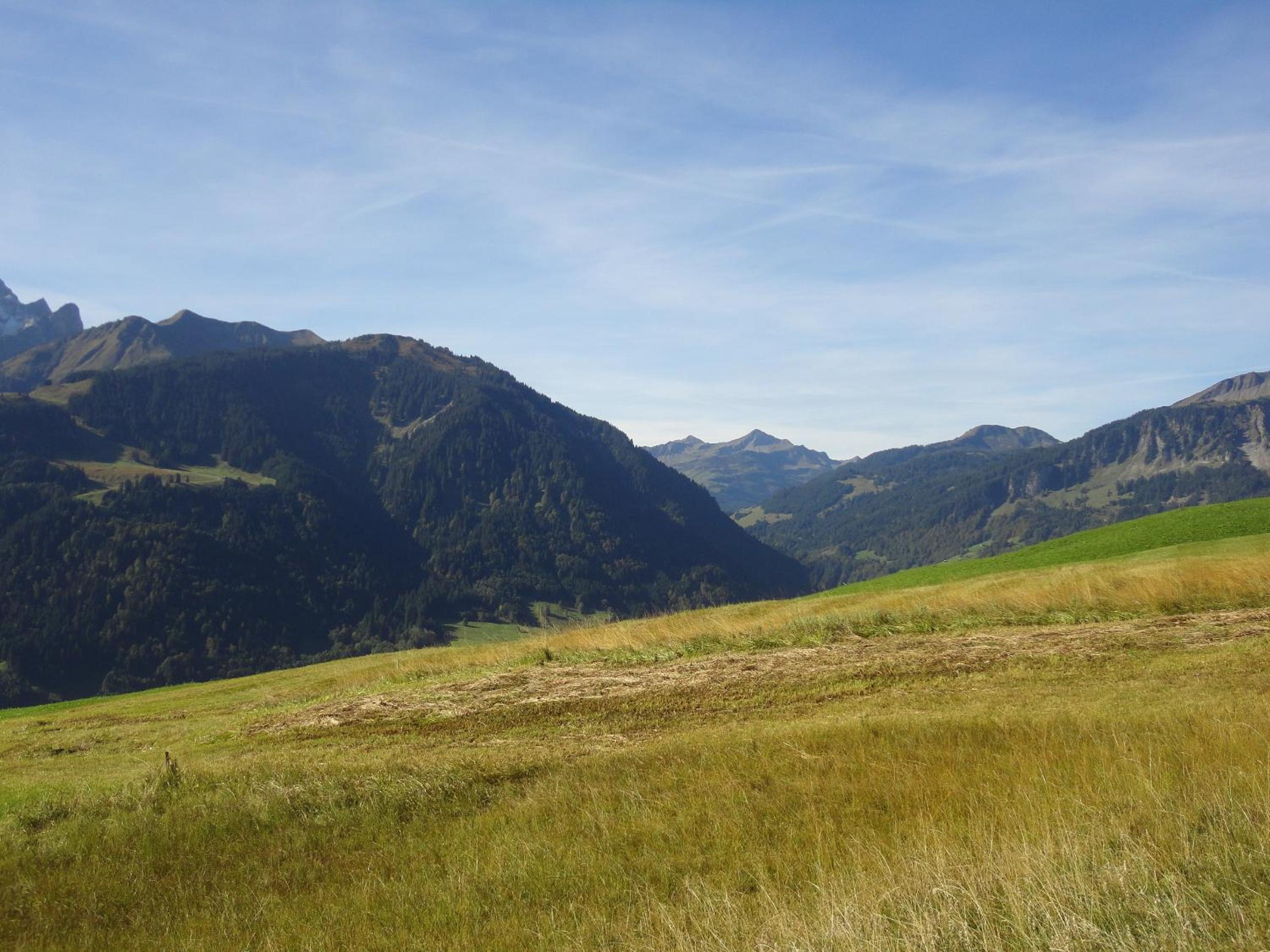 Haus Alpina