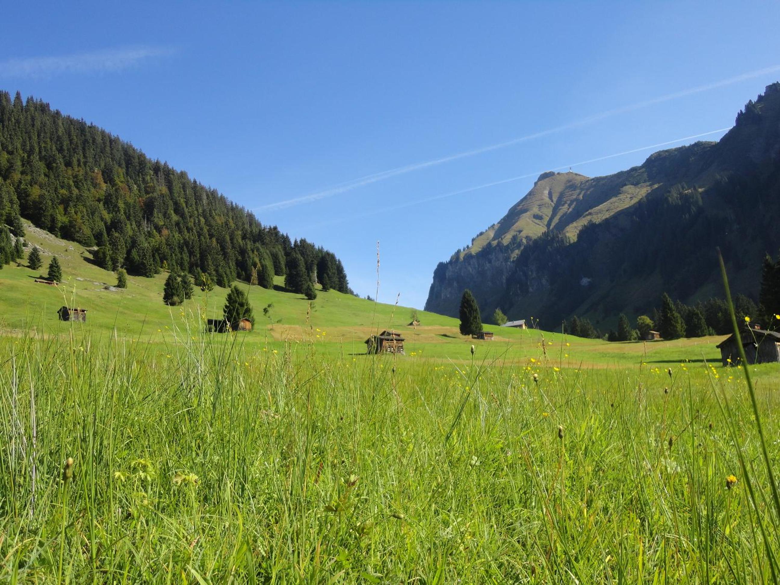 Haus Alpina