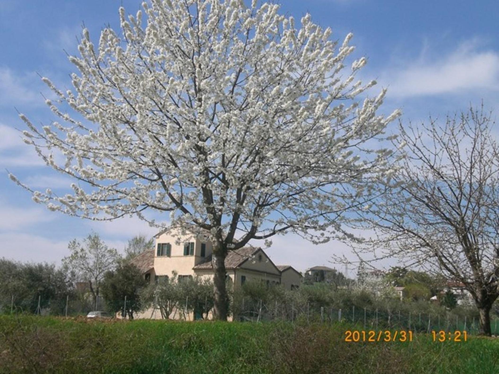 Photo 56