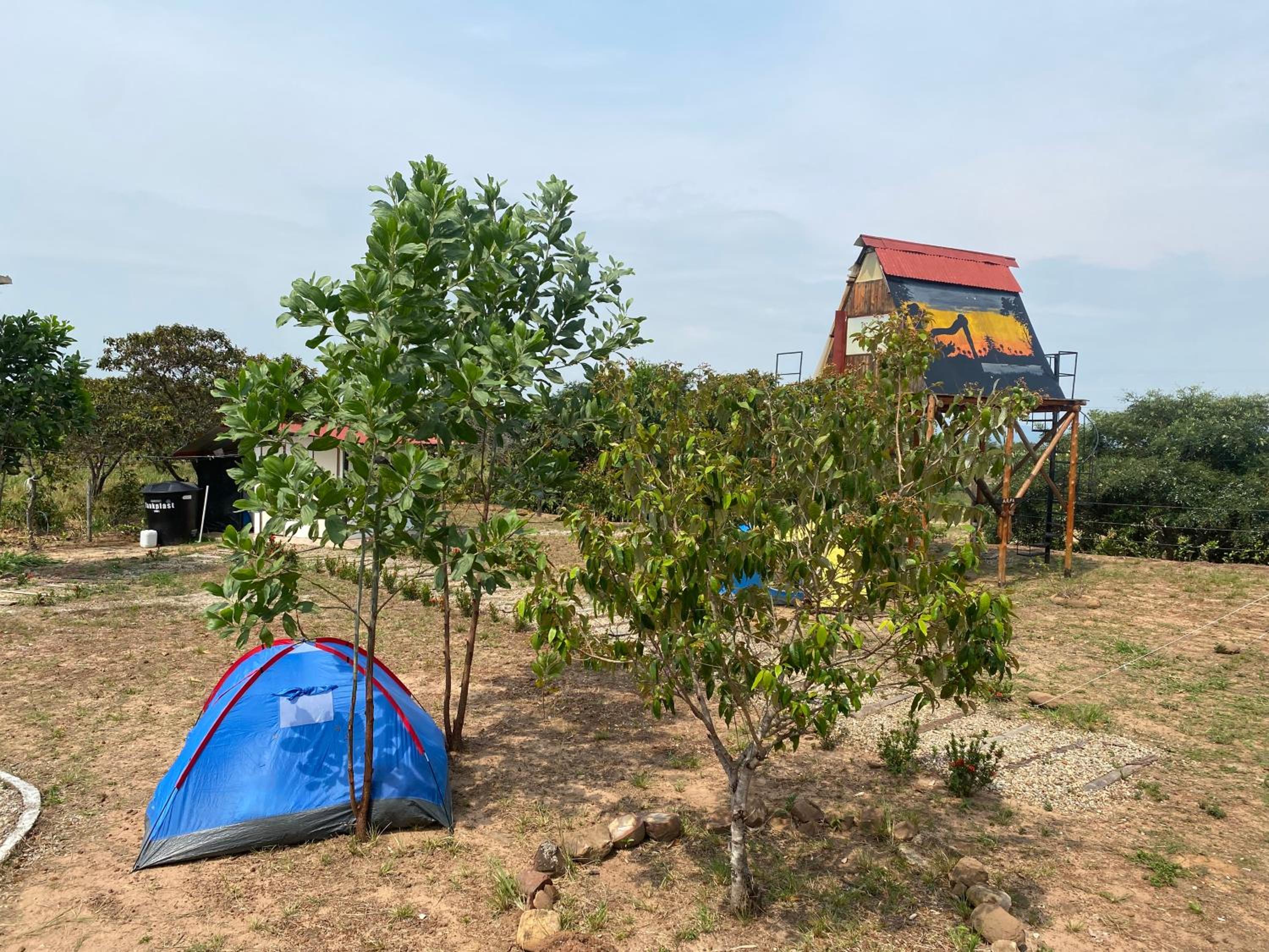 GLAMPING Y CABAÑAS EL MANÁ