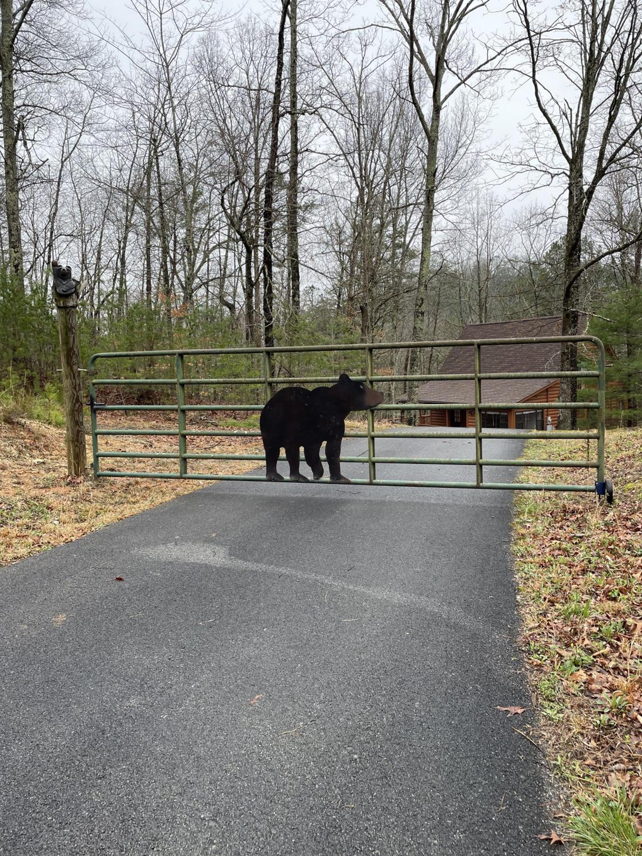 Great Smoky Mountains Cabin!, Secluded, Pet-Kid Friendly! view 3