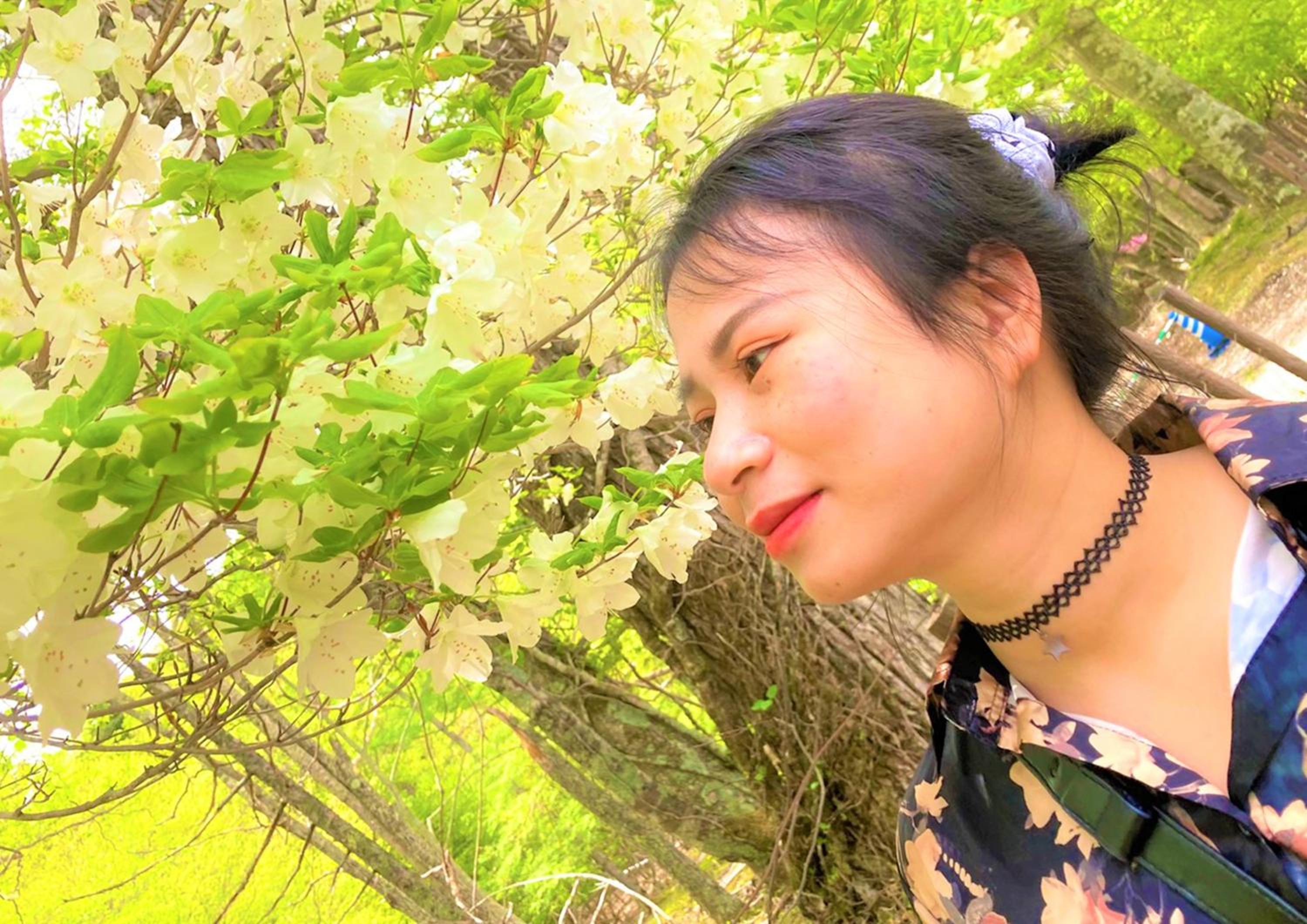 Hatago Nagomi