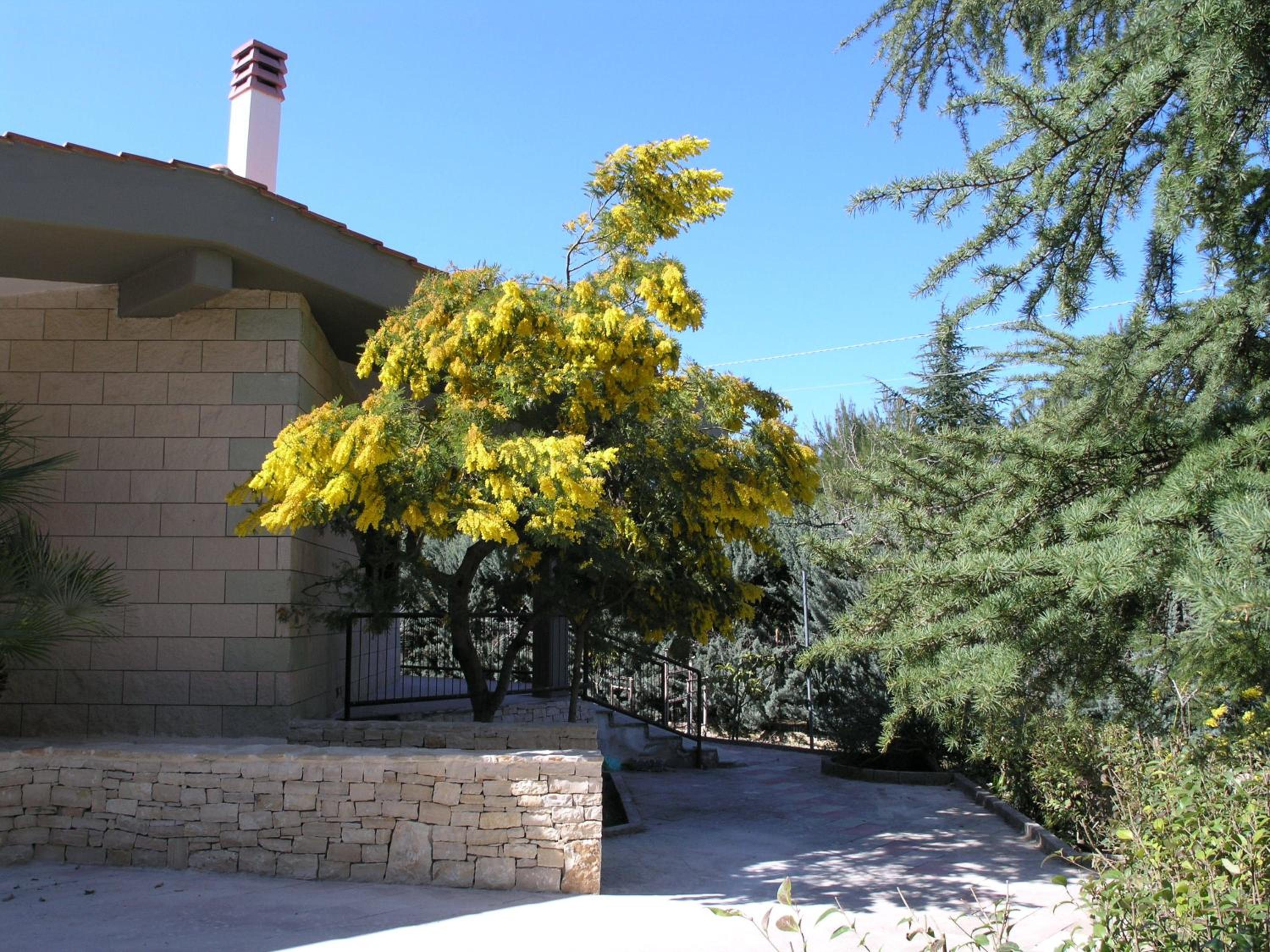 Photo 43