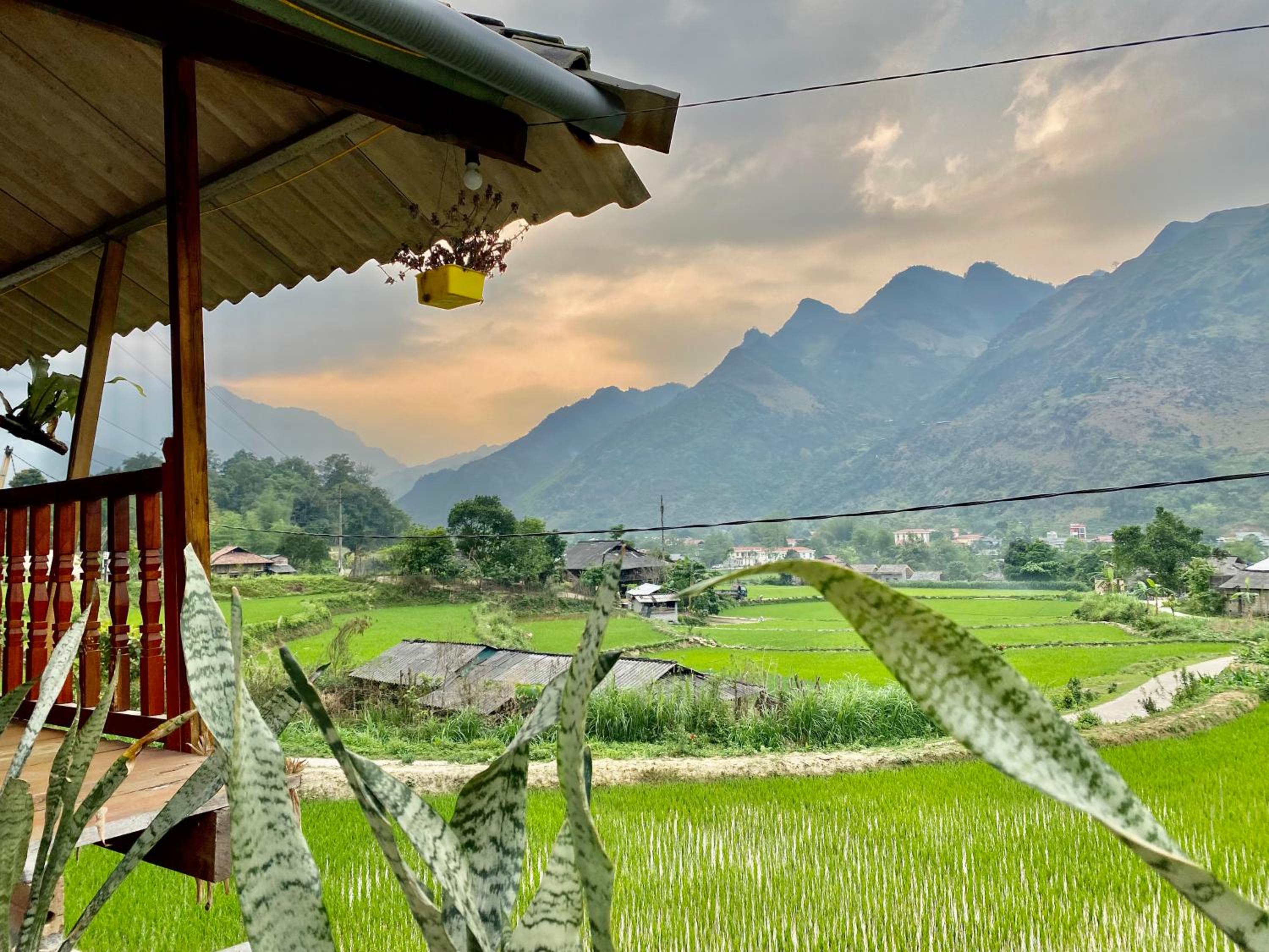 Du Gia Field View Homestay