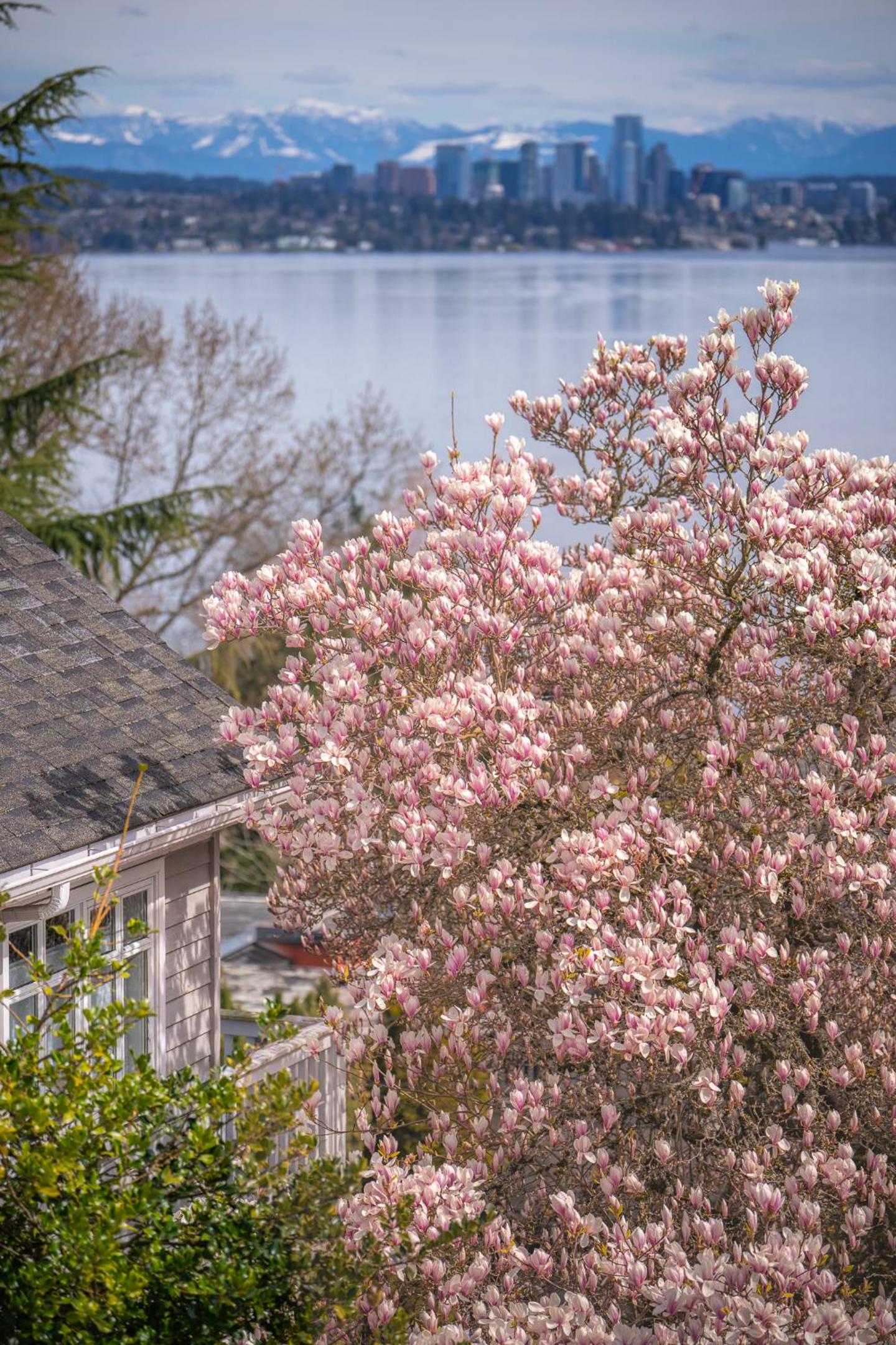 Sunrise on Lake Washington view 4