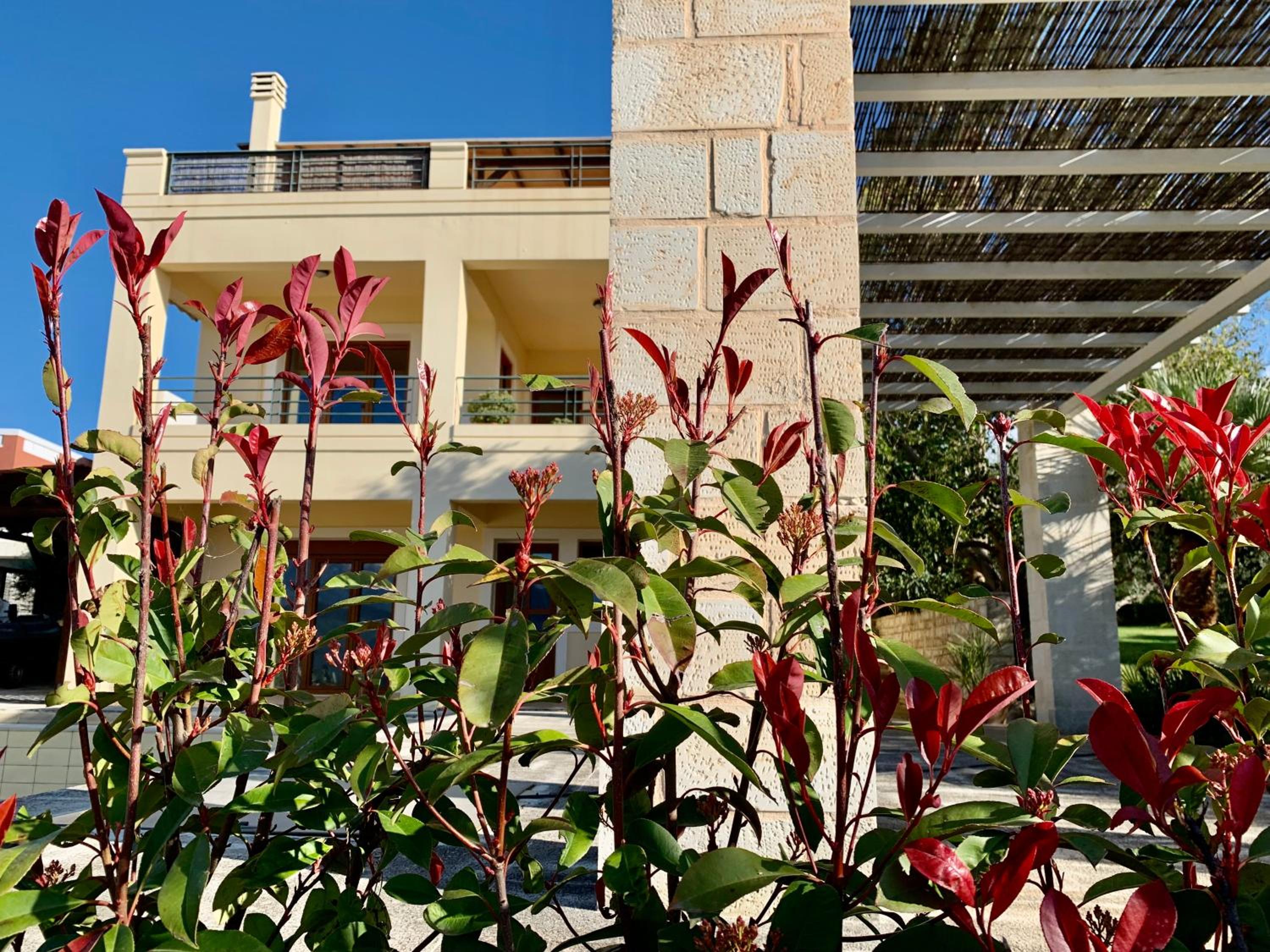 Aggelos and Thisbe Chania Suburbs Sea View Guest House view 3