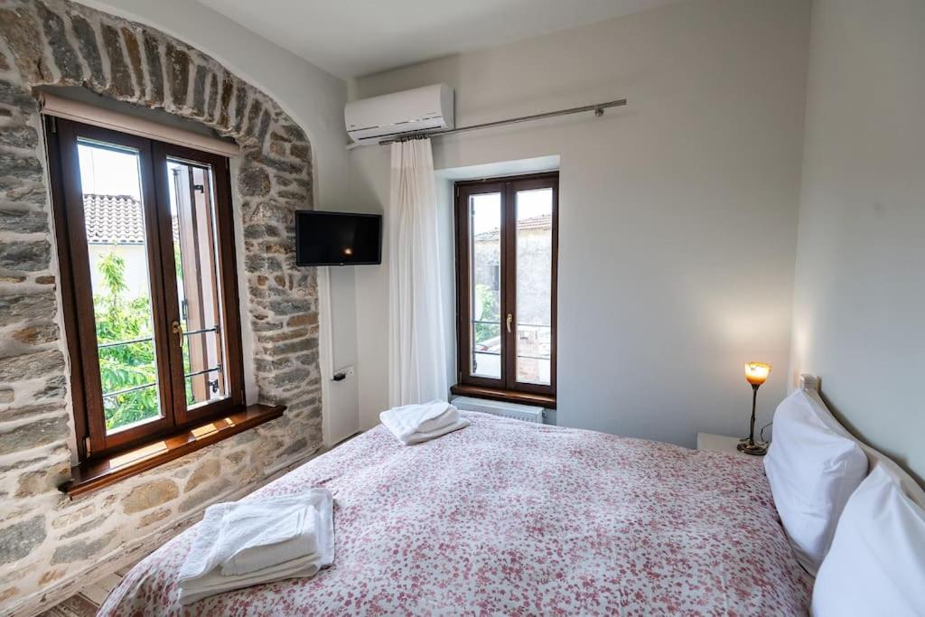 Ιkies Zmas - Argalasti view 5