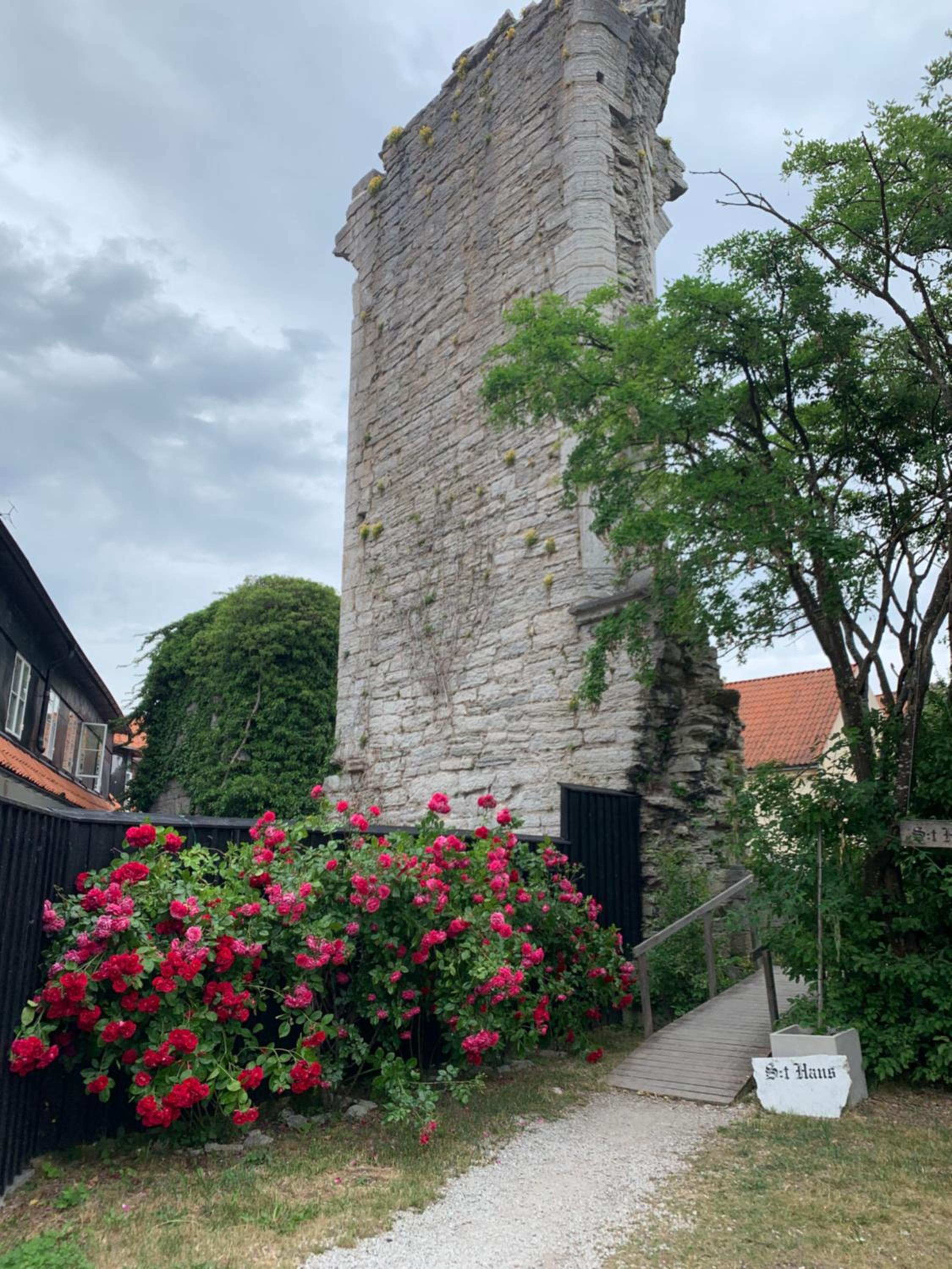 Photo 16