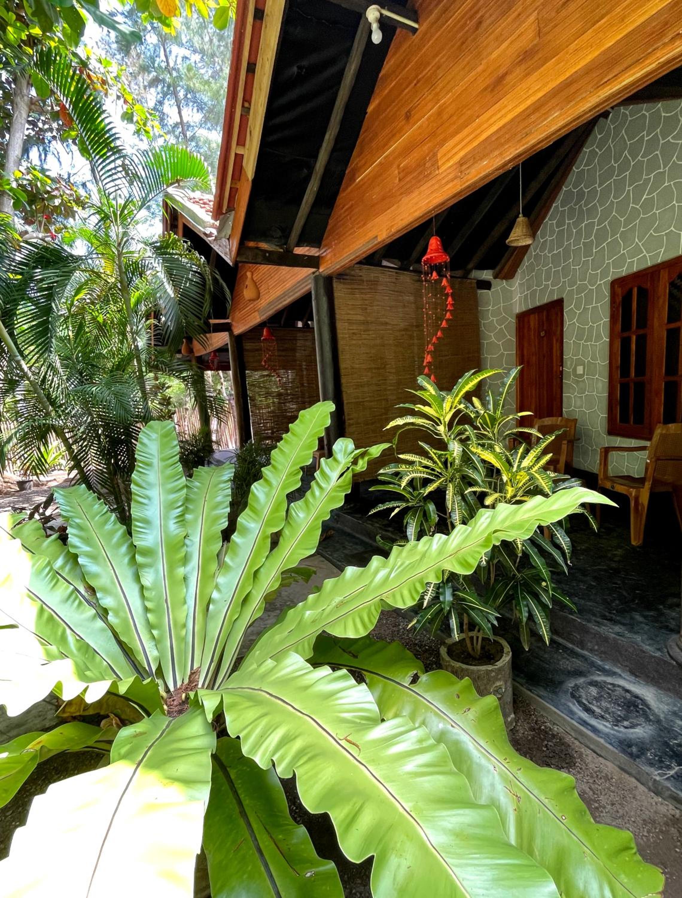 New Roy Guest House