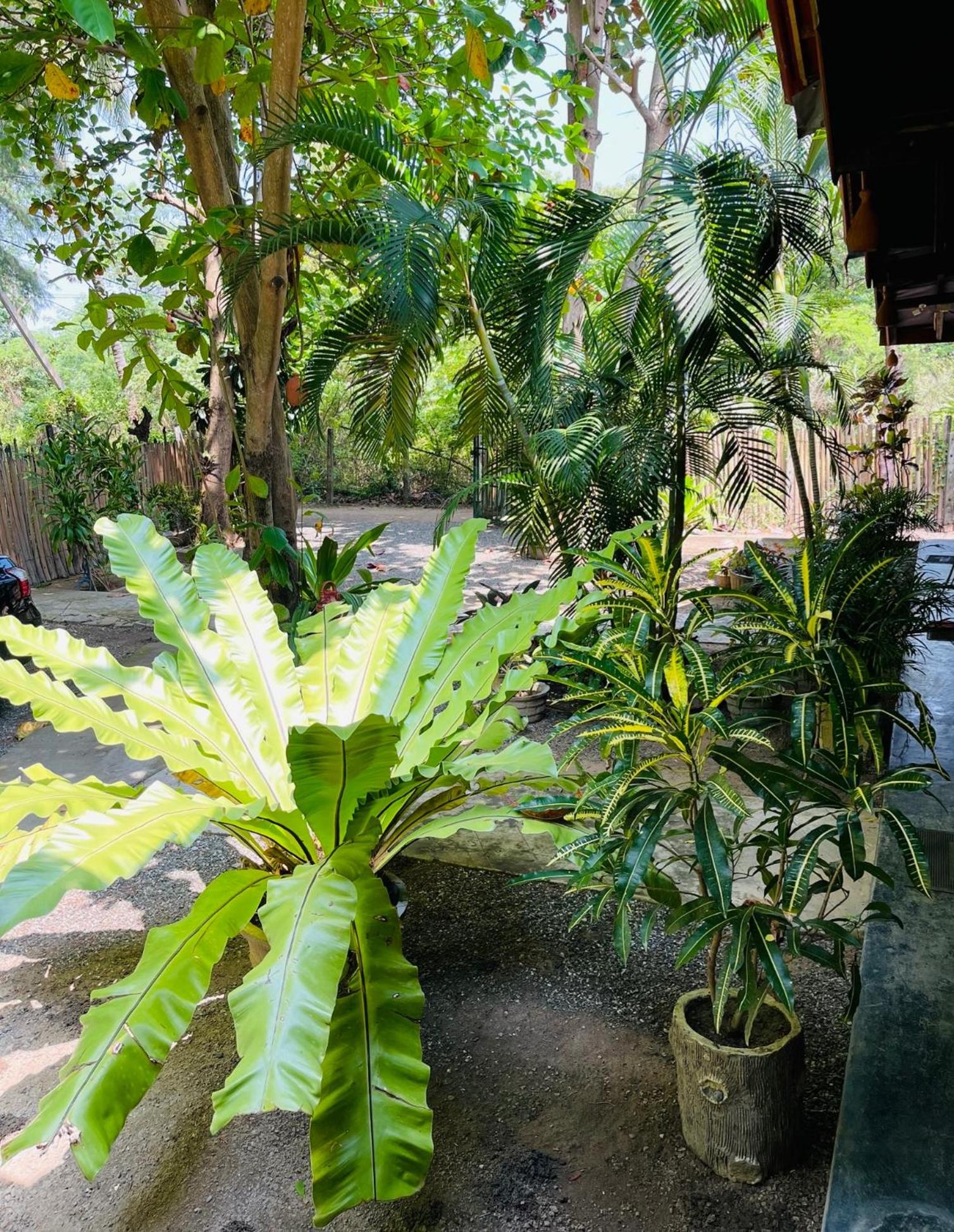New Roy Guest House