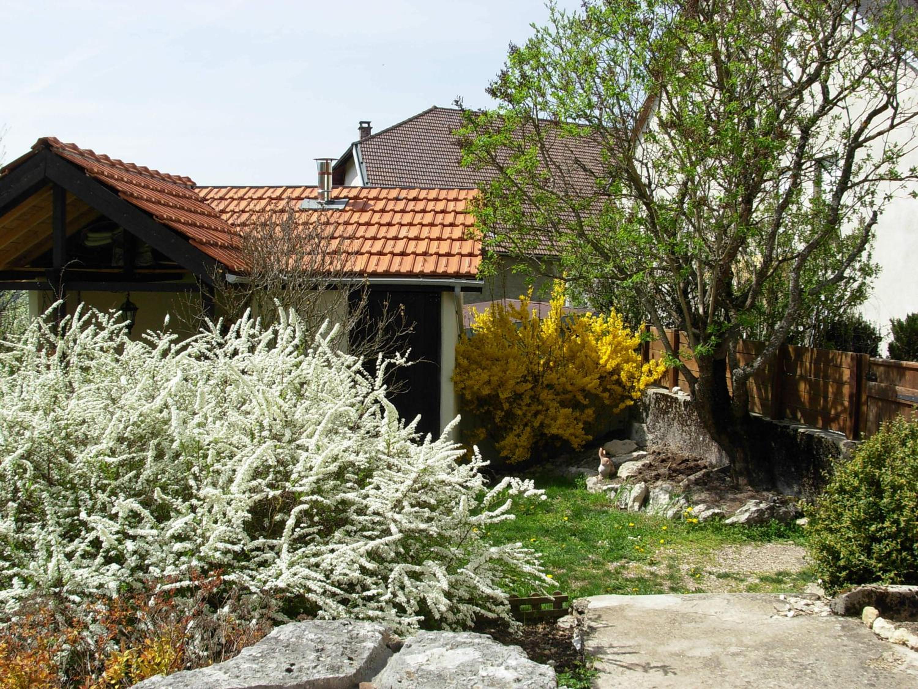 Photo 21
