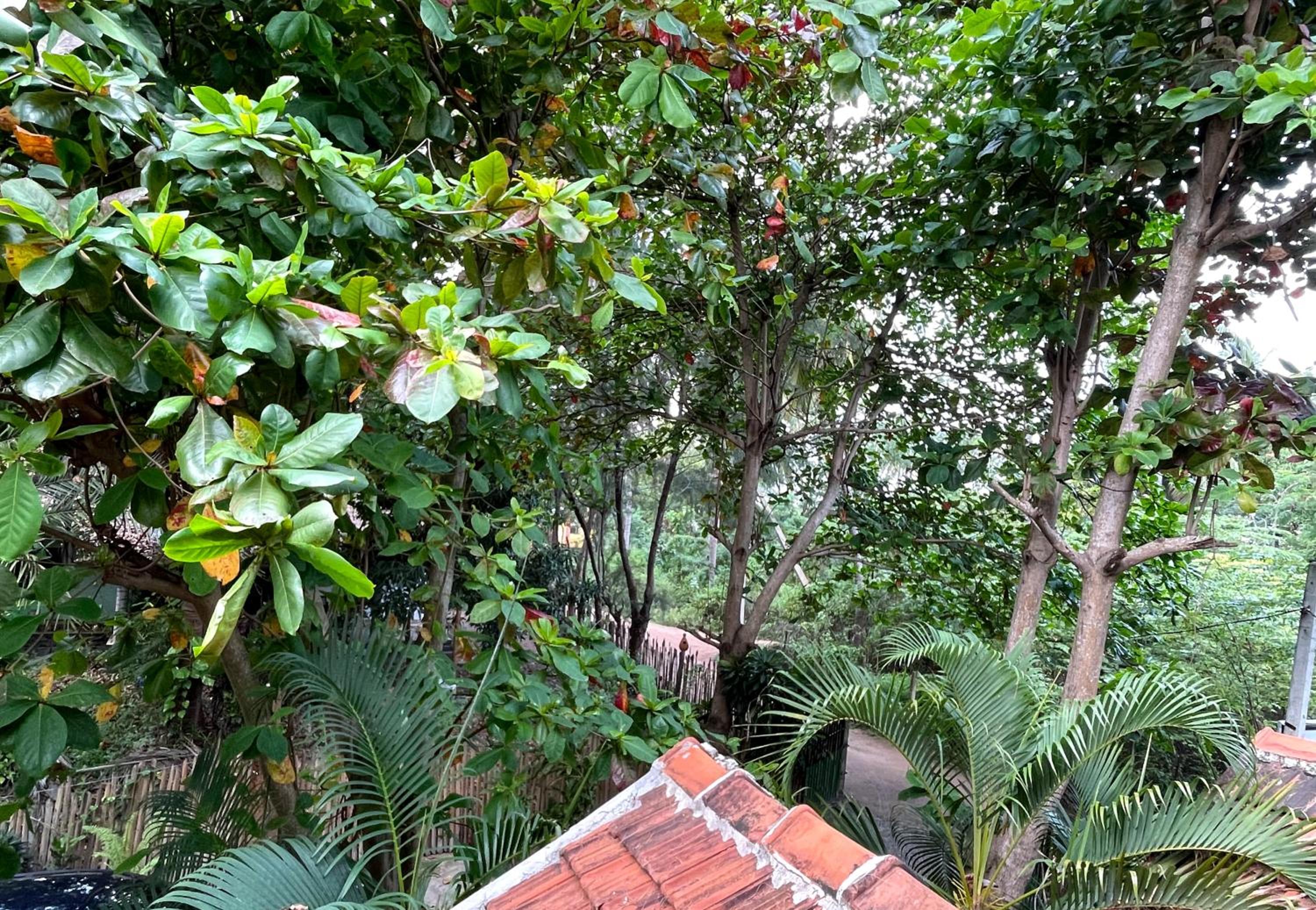 New Roy Guest House