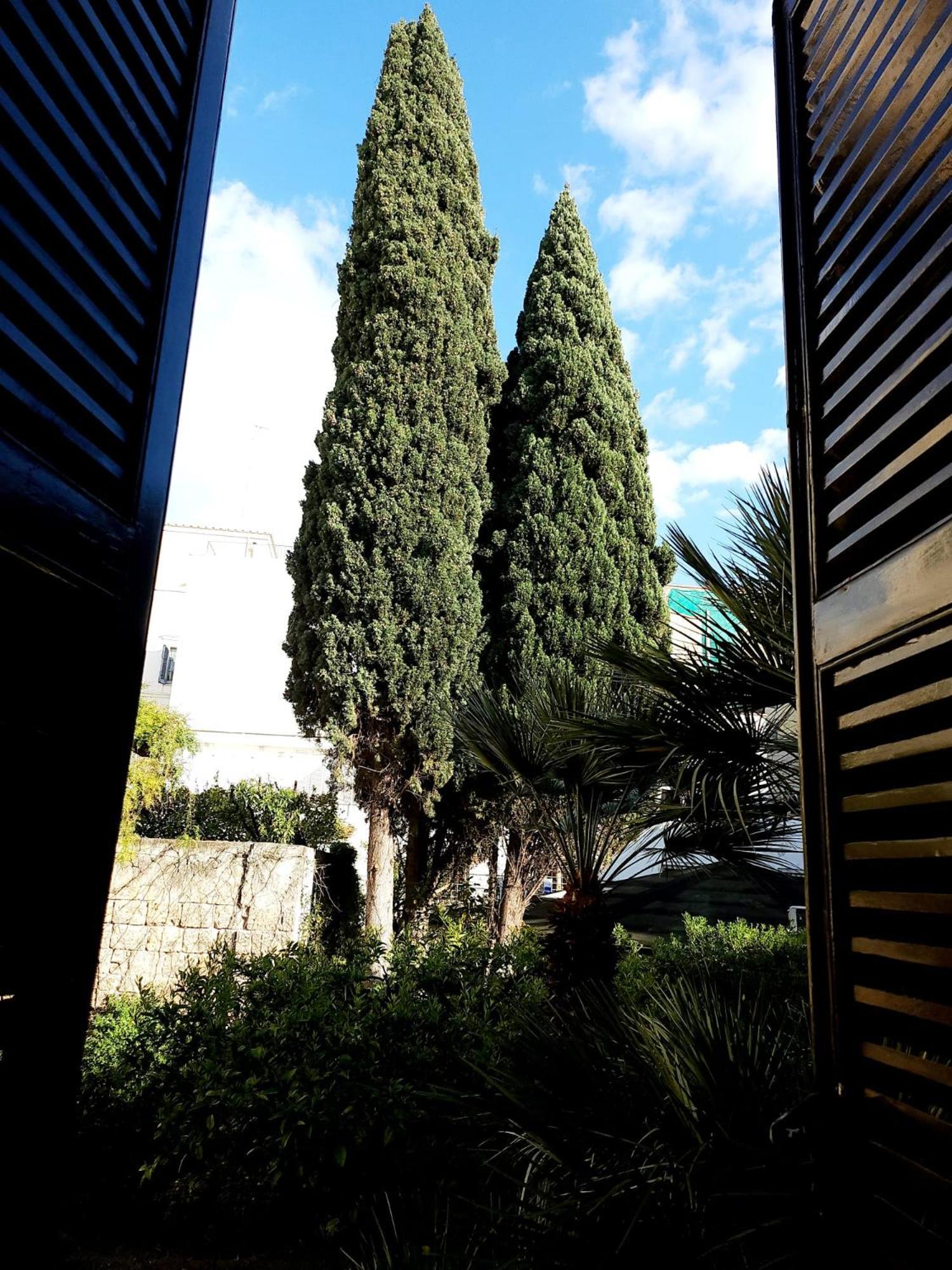 Photo 25