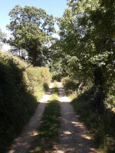 Photo 29